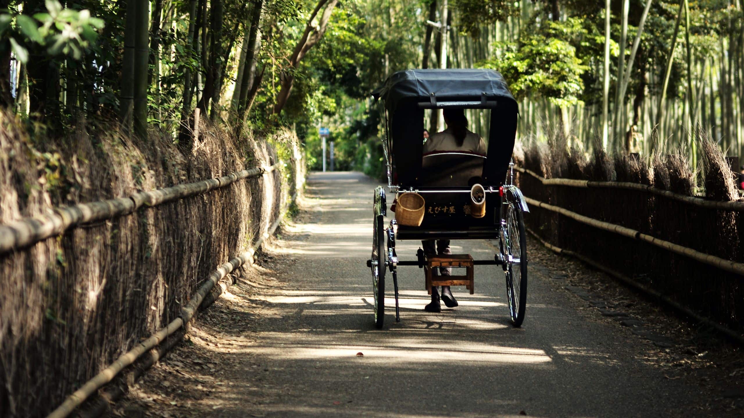 Park Hyatt Kyoto Rickshow Bamboo