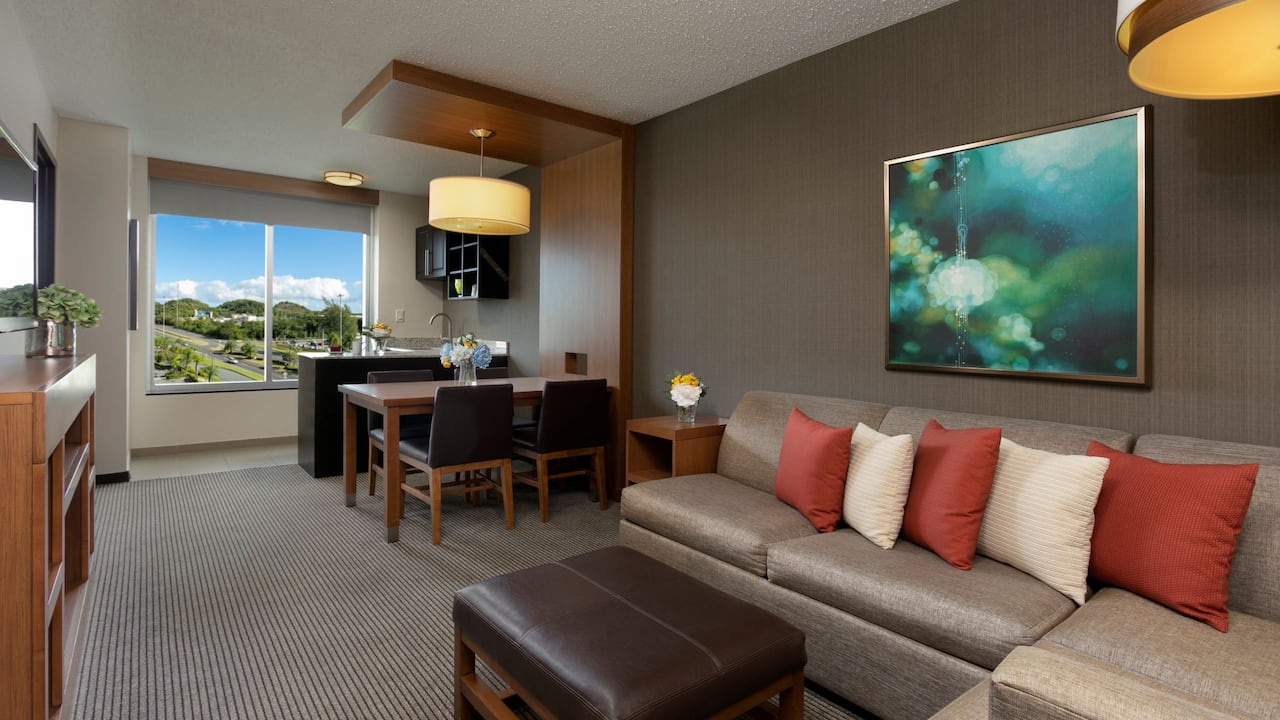 Suite Living Room Area