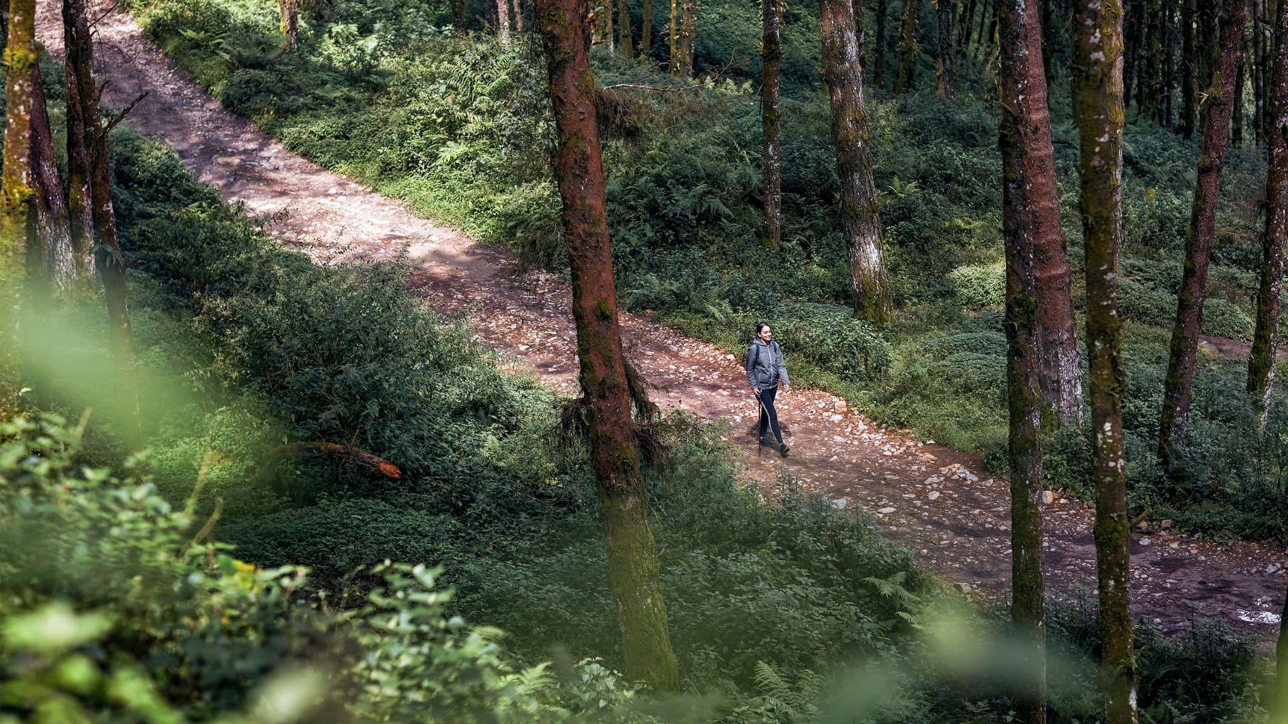 Hyatt Regency Kathmandu Woman Hiking Trail Trees