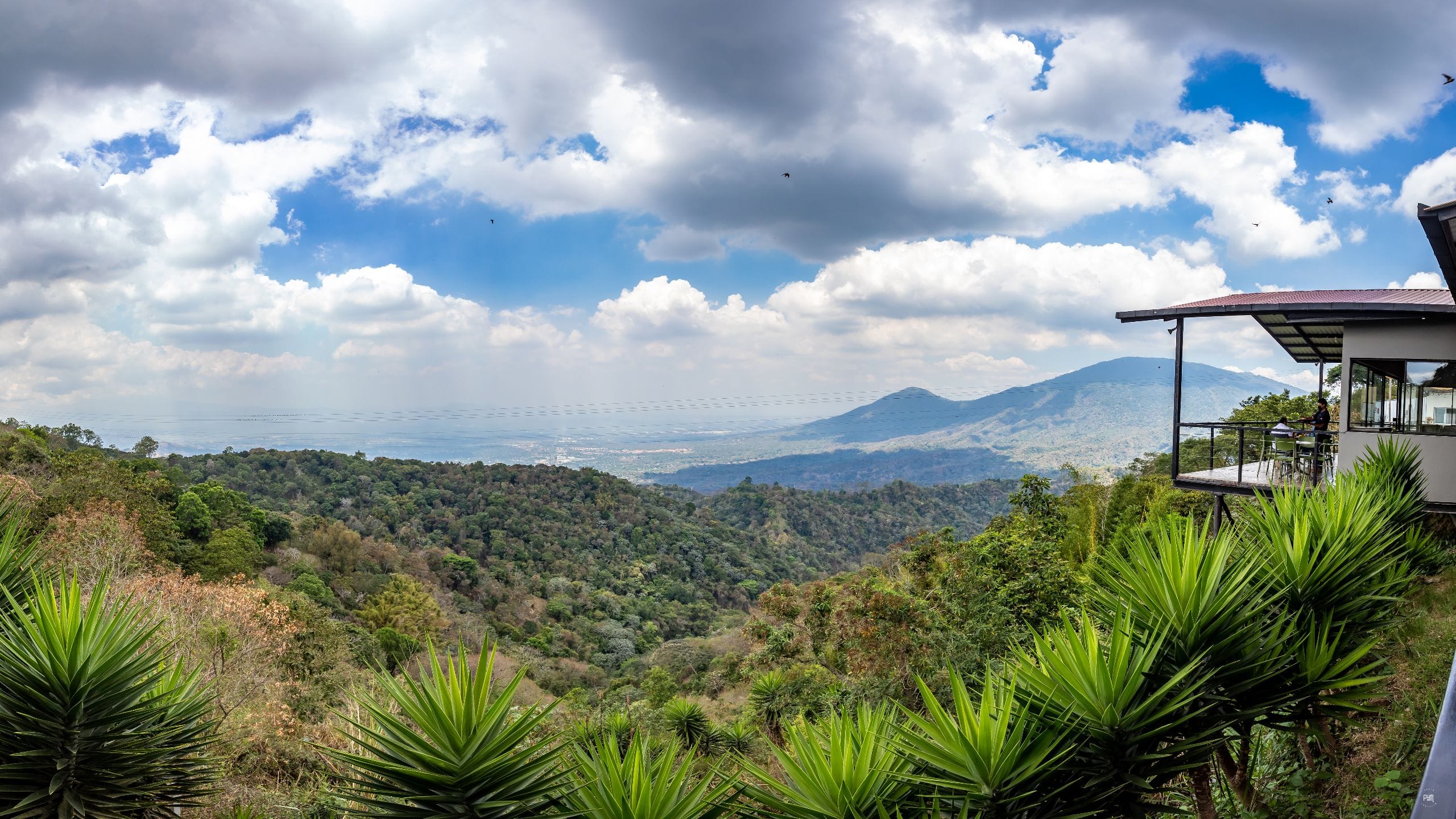 Hyatt Centric San Salvador Cafe la Cumbrepano