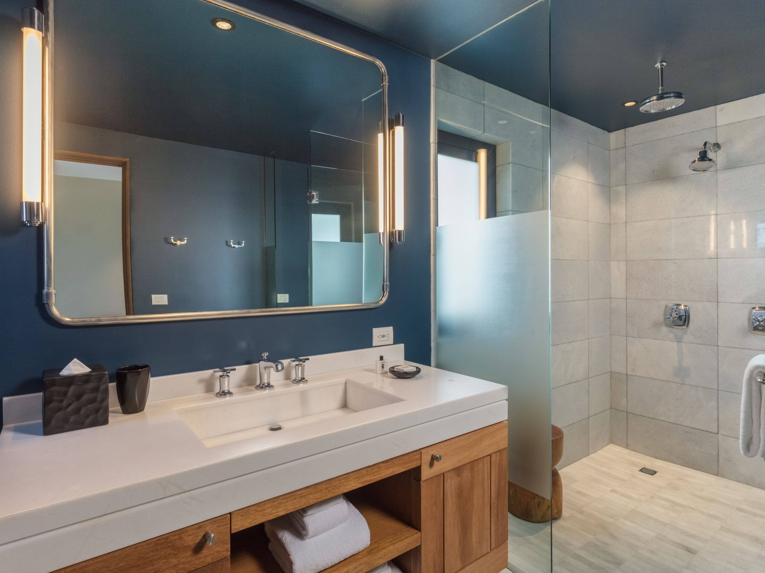 The Cape, a Thompson Hotel One Bedroom Villa Plunge Pool Garden View Bathroom