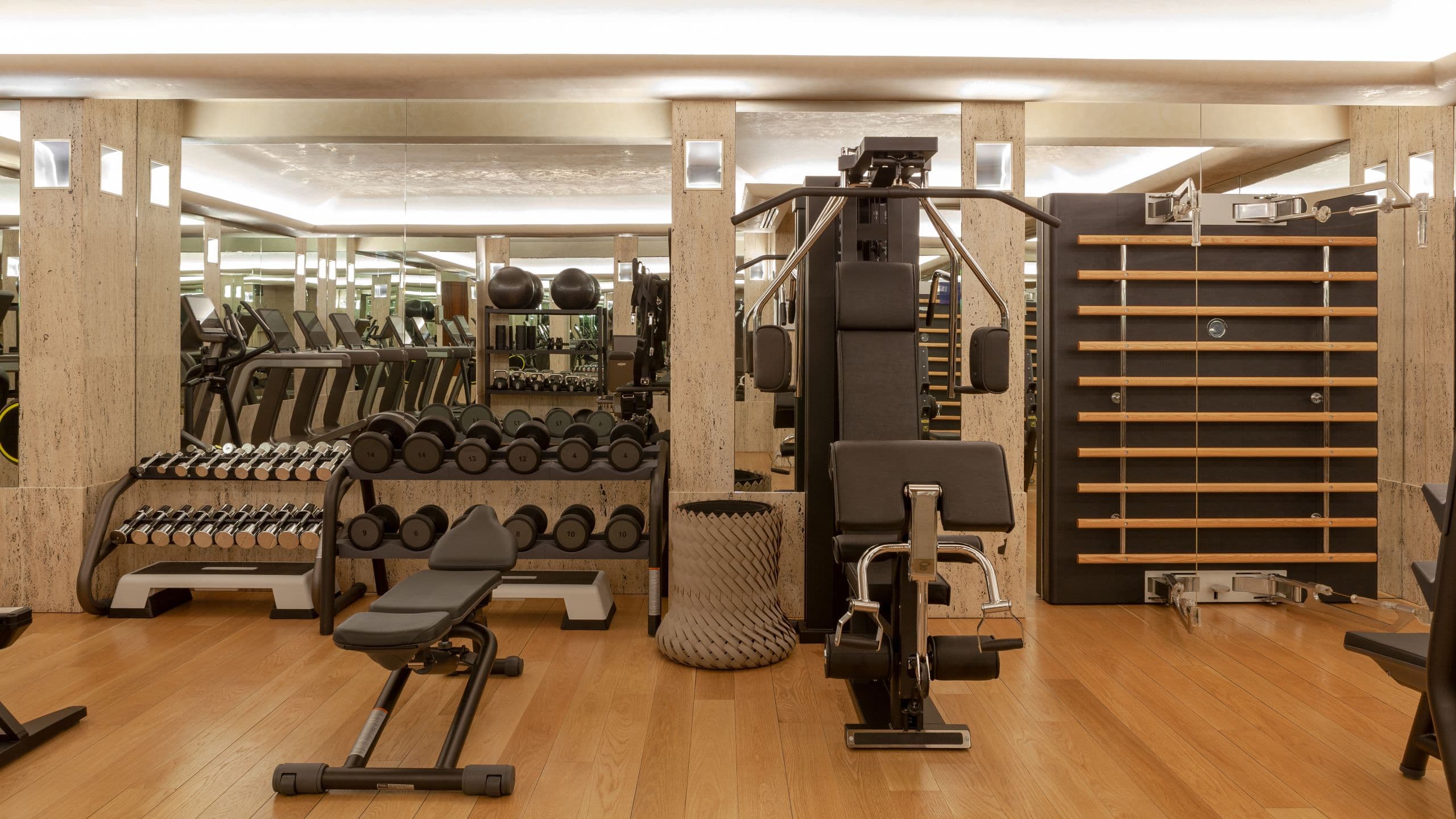Park Hyatt Milan Fitness Center Weights