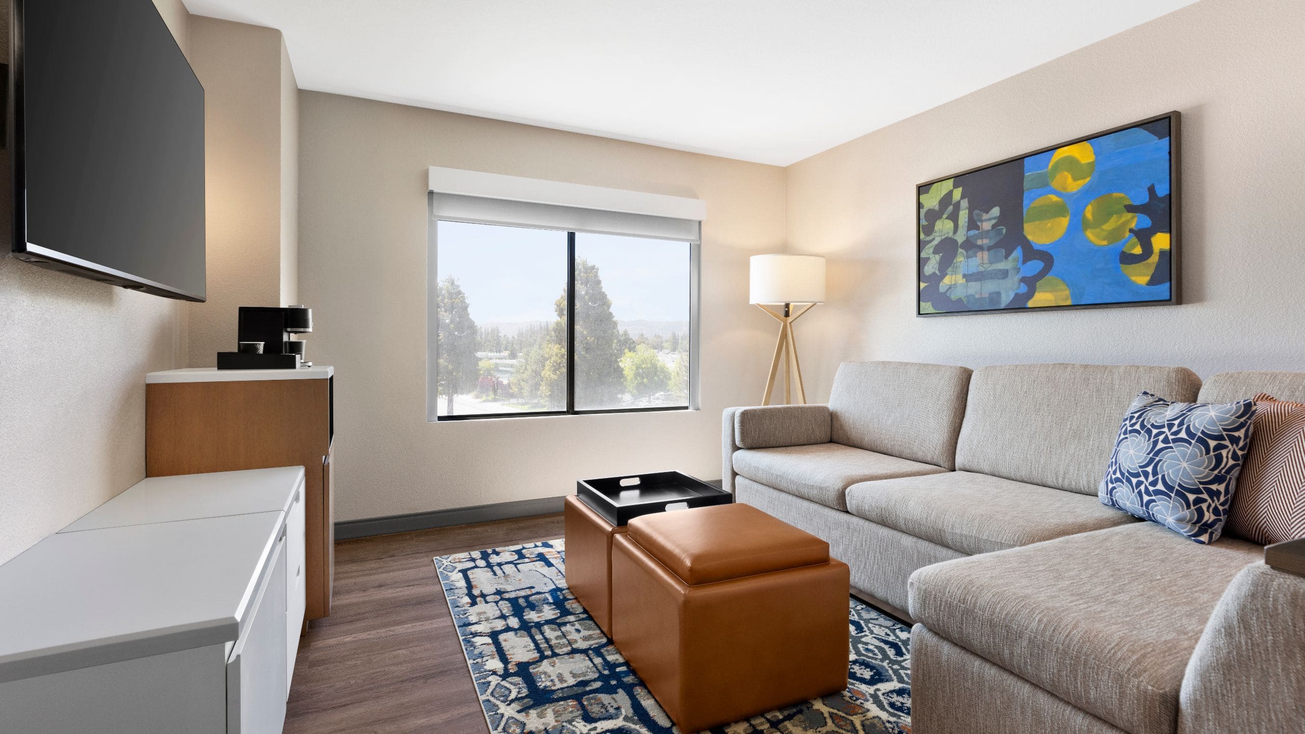 Hyatt Centric Santa Clara Silicon Valley Living Room Seating