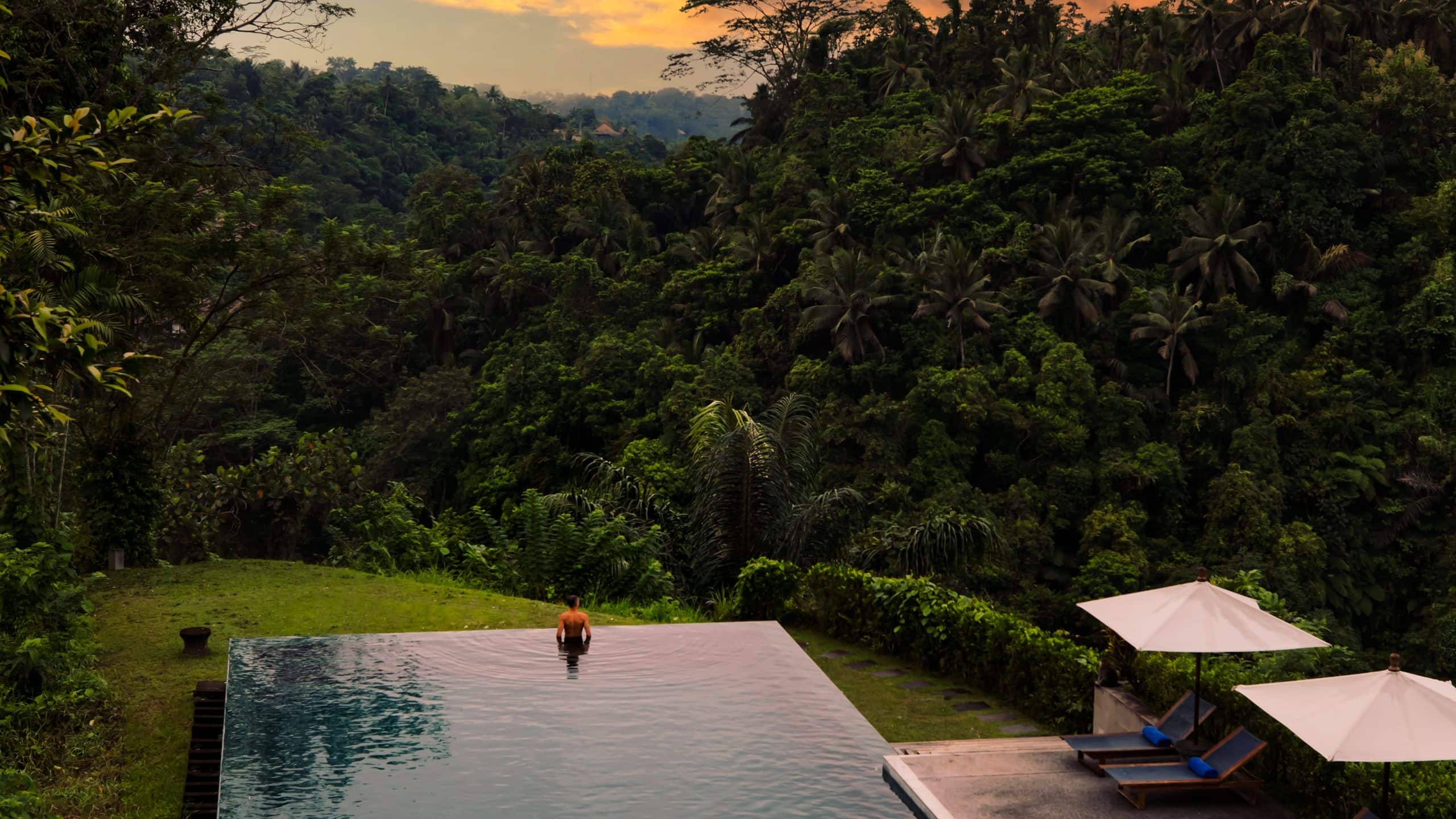 Alila Ubud Aerial View Infinity Pool Trees