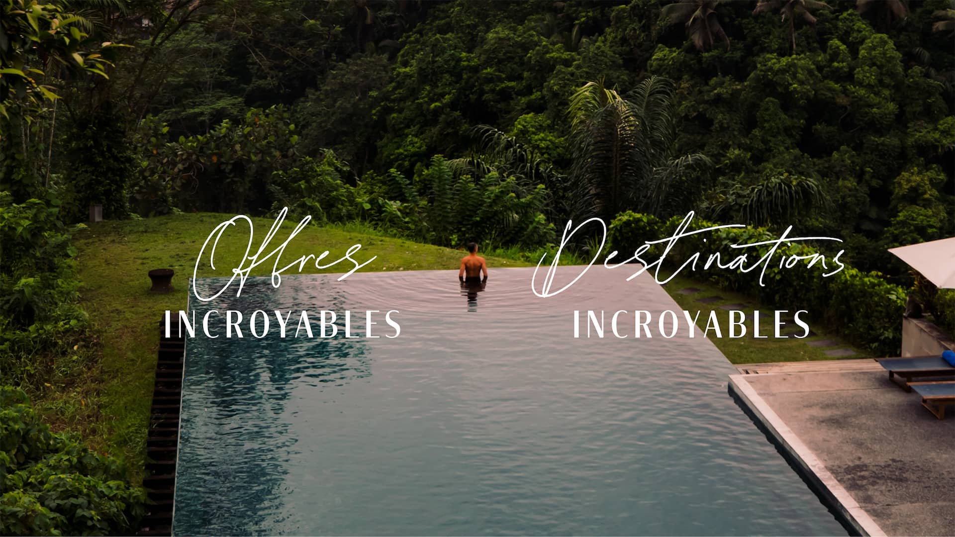 Aerial View Infinity Pool Trees