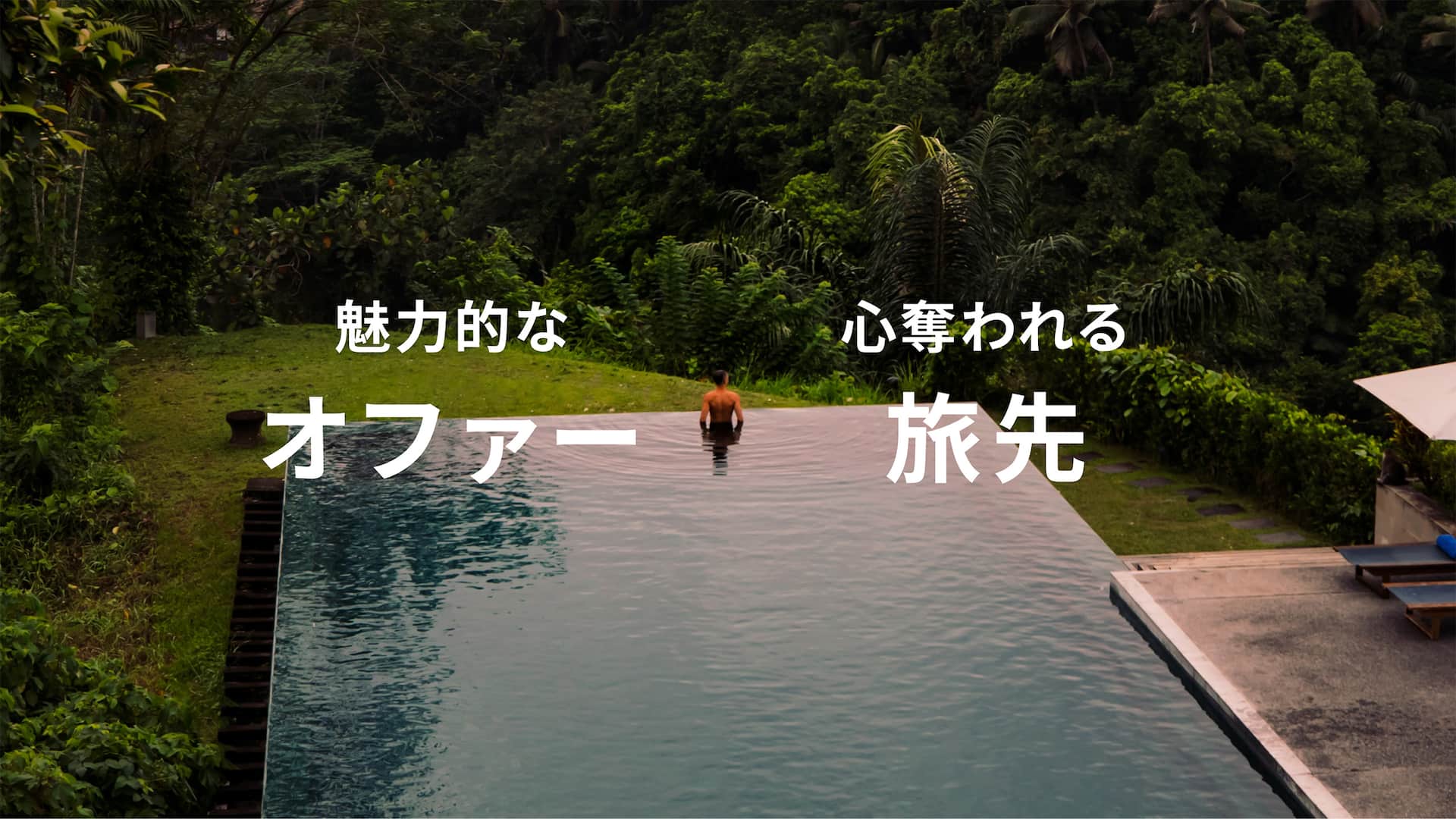 Aerial View Infinity Pool Trees