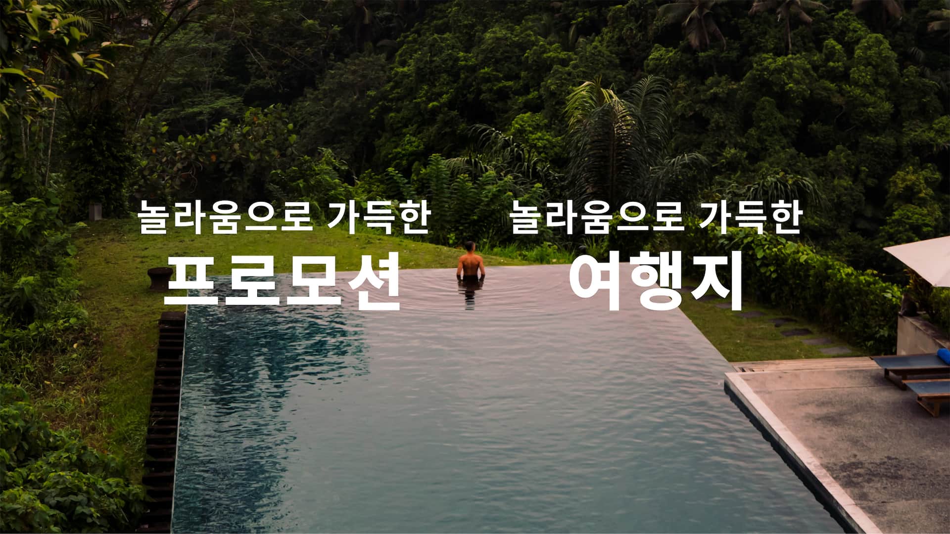 Aerial View Infinity Pool Trees