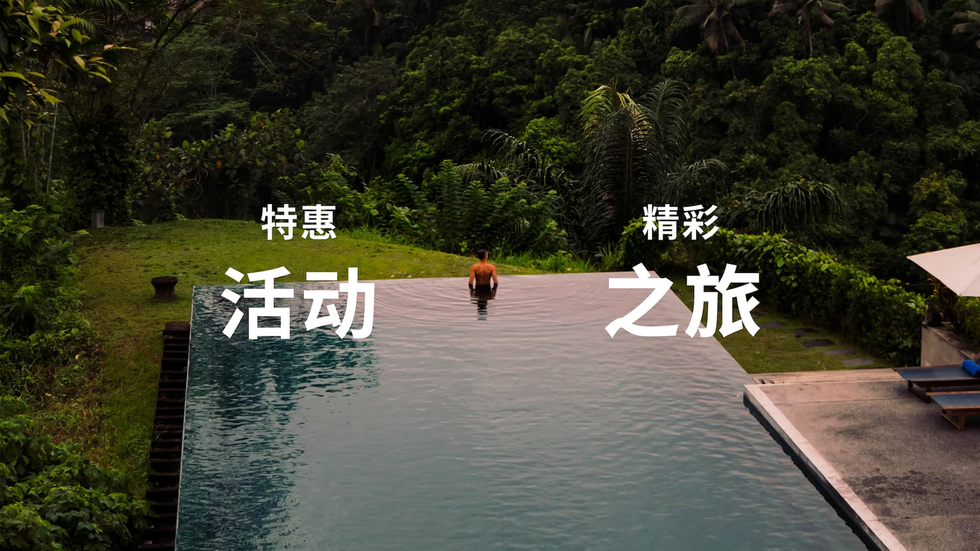 Aerial View Infinity Pool Trees