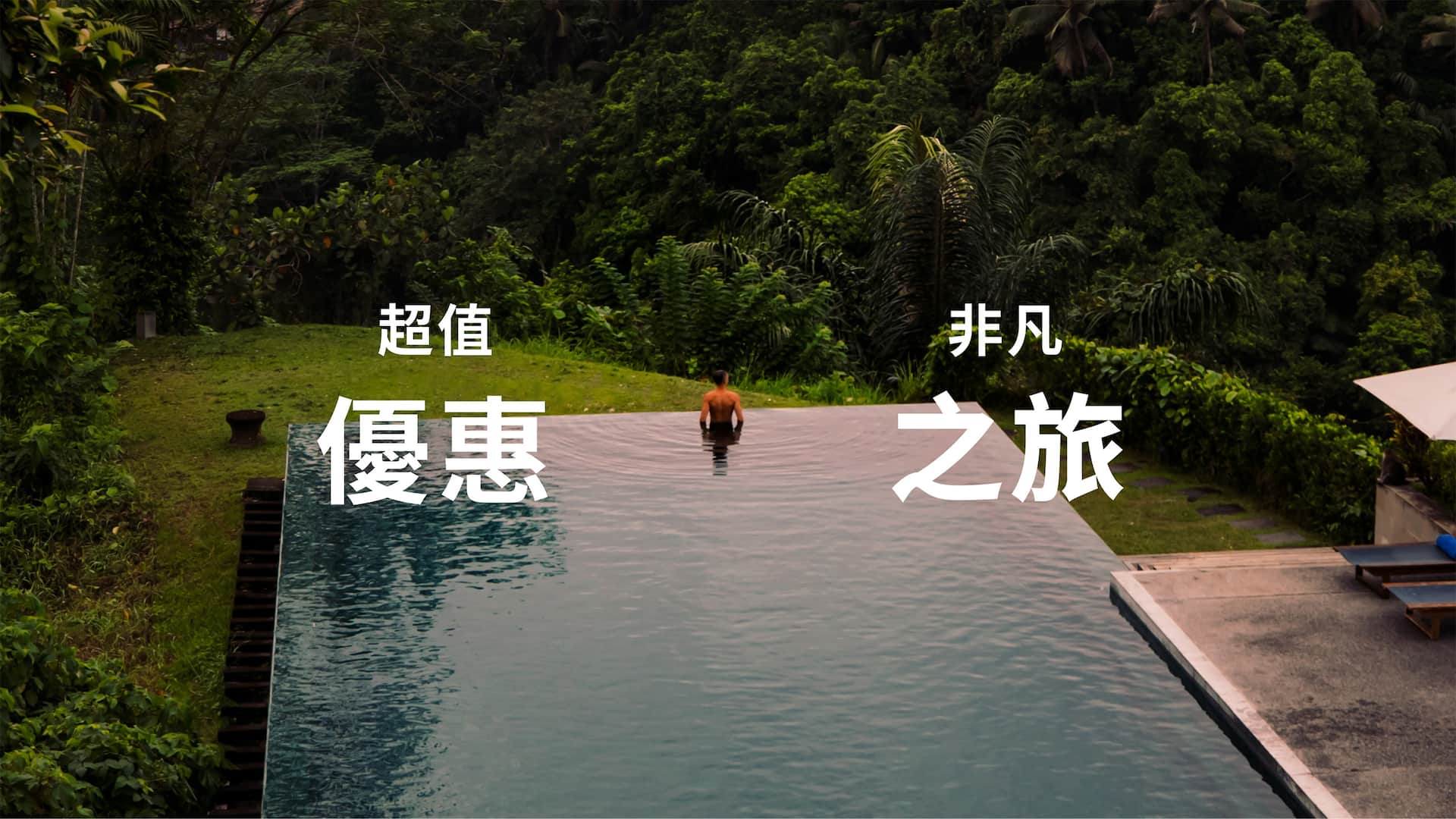 Aerial View Infinity Pool Trees