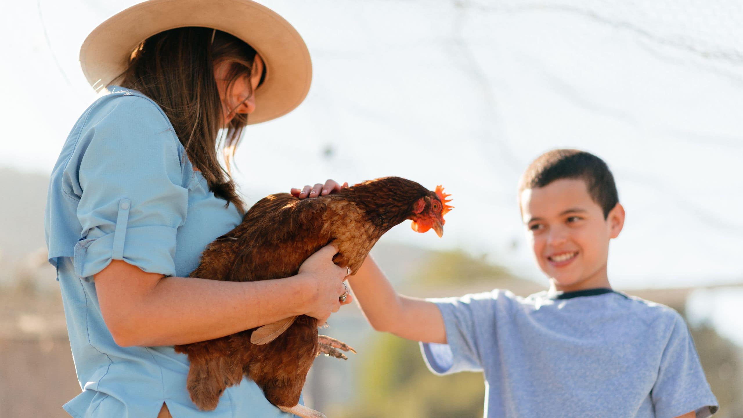 Carmel Valley Ranch Lifestyle Activities Garden Chicken