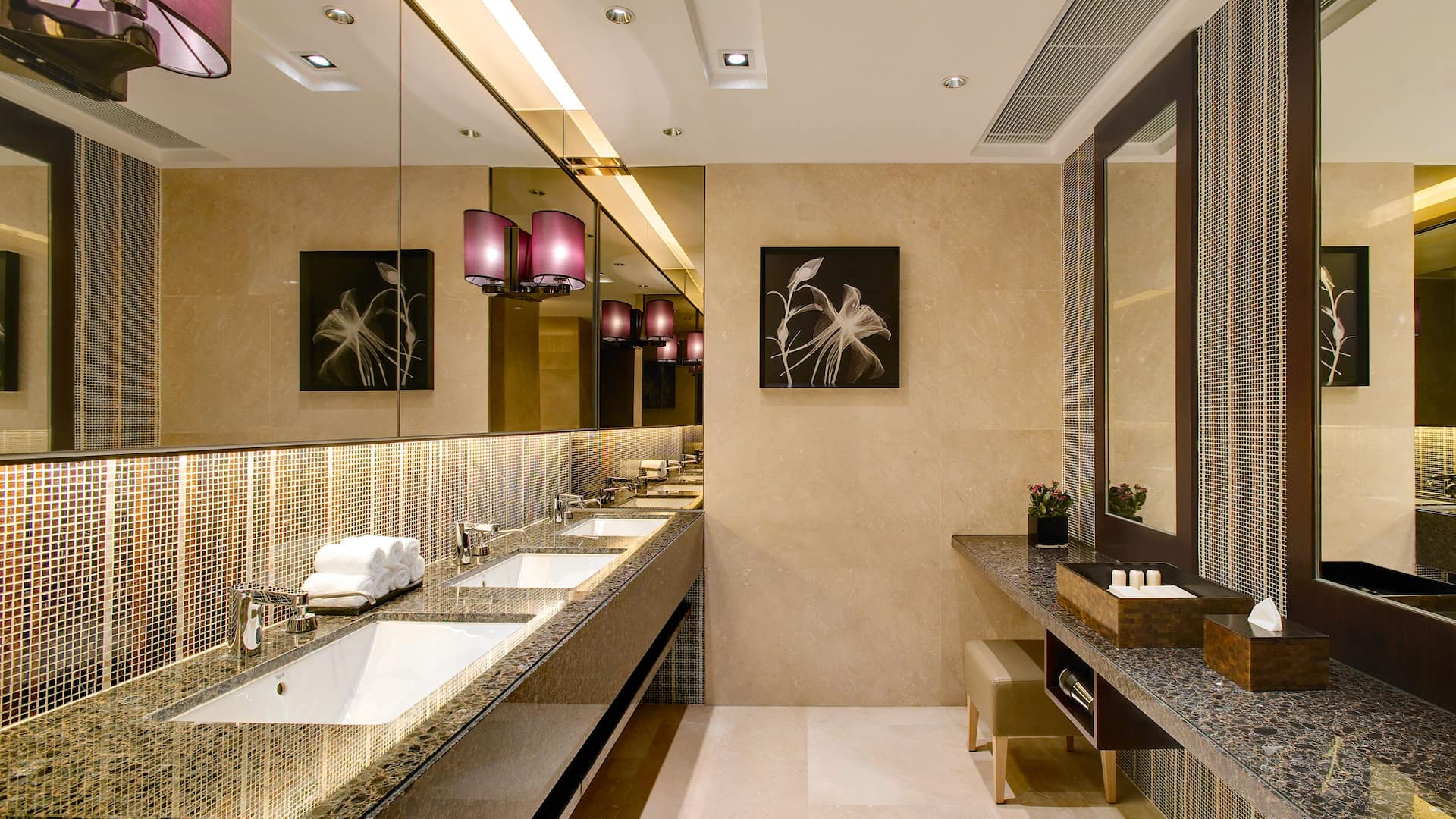 Hyatt Regency Hong Kong, Sha Tin Fitness Center Vanity