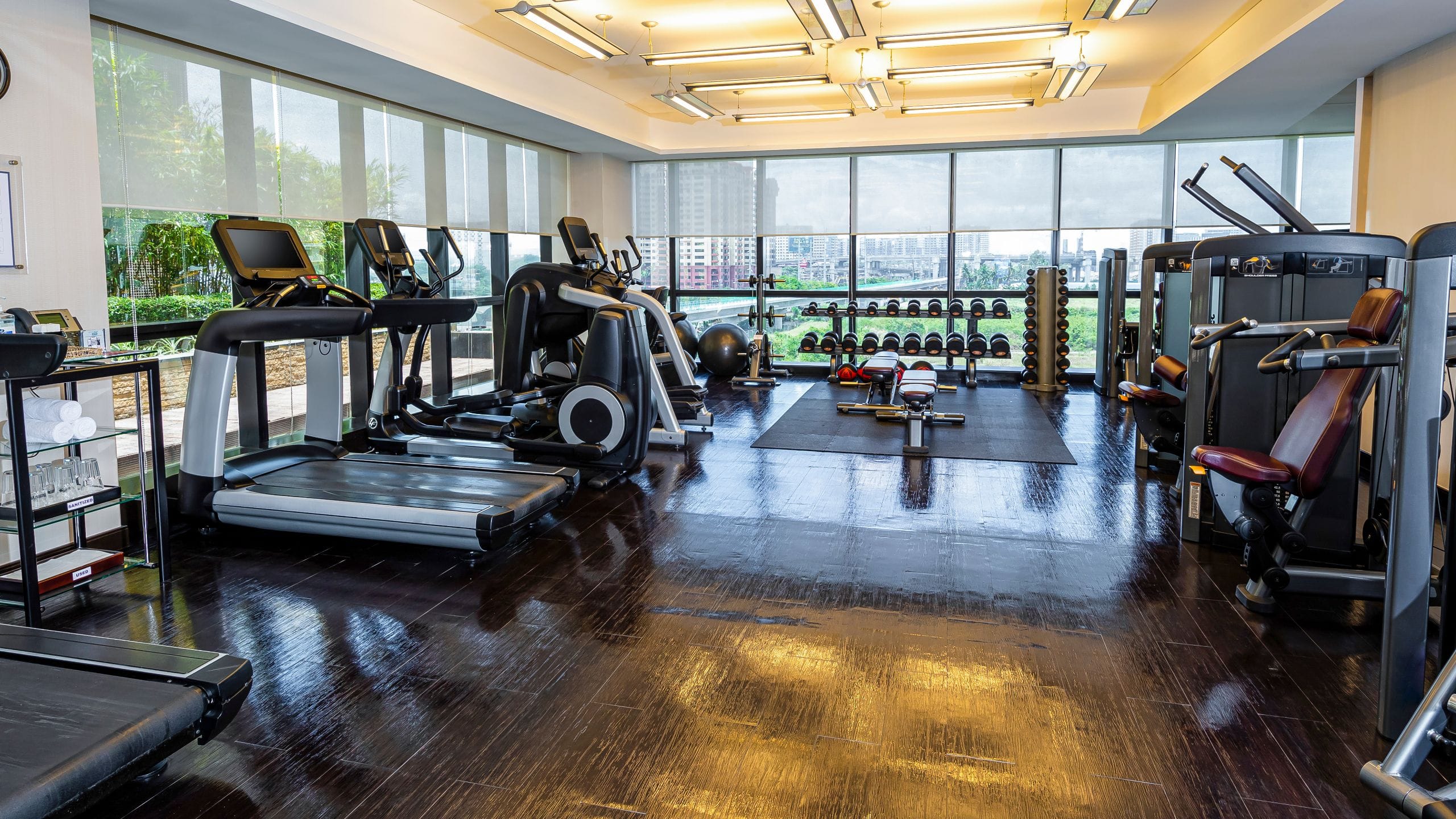 Hyatt Regency Manila, City of Dreams Fitness Center Workout Equipment