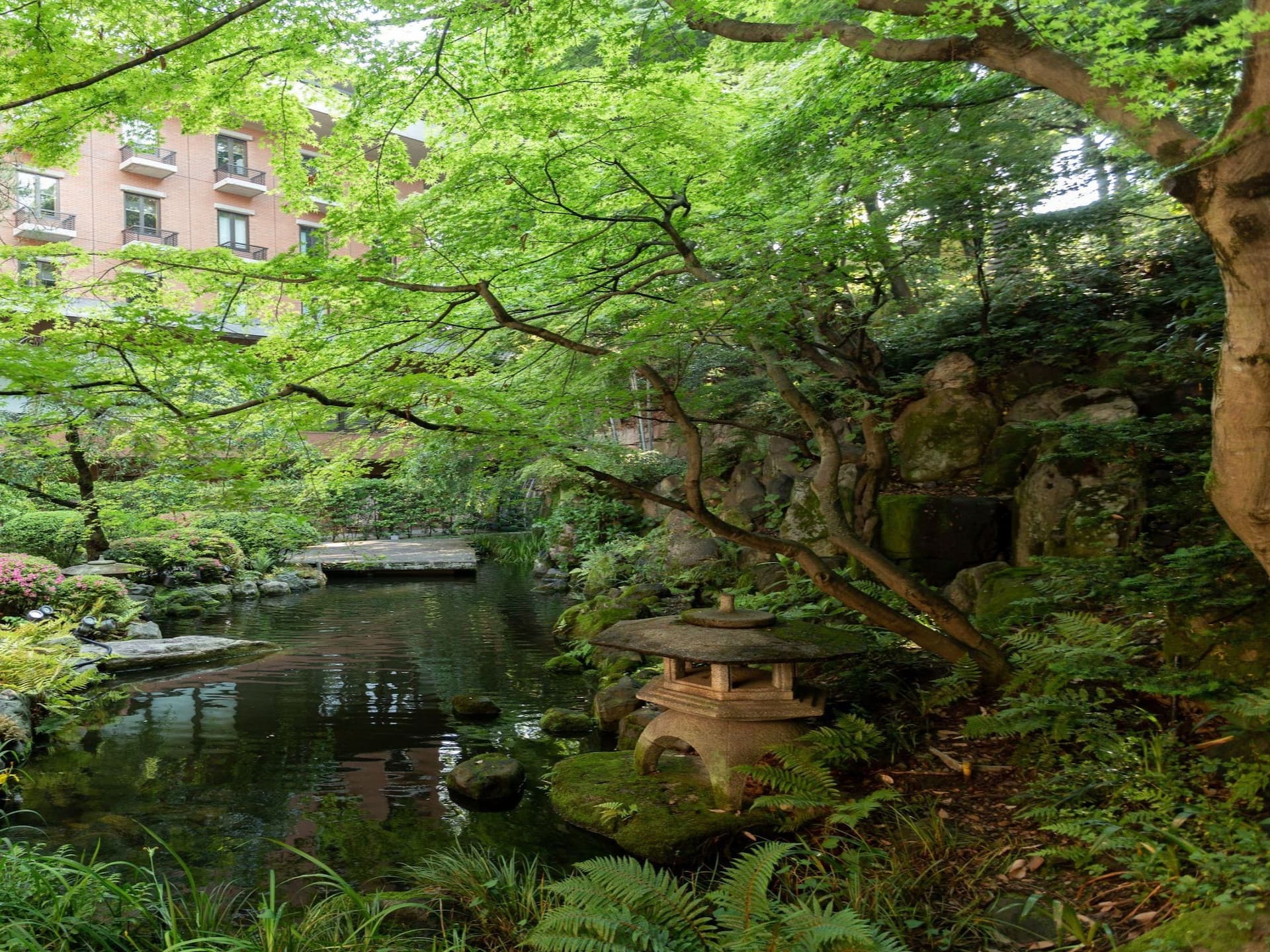 Hyatt Regency Kyoto Garden Pond Trees Plants