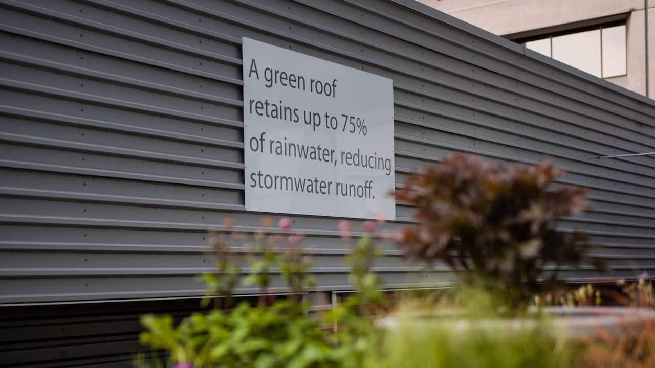 Green Roof Signage