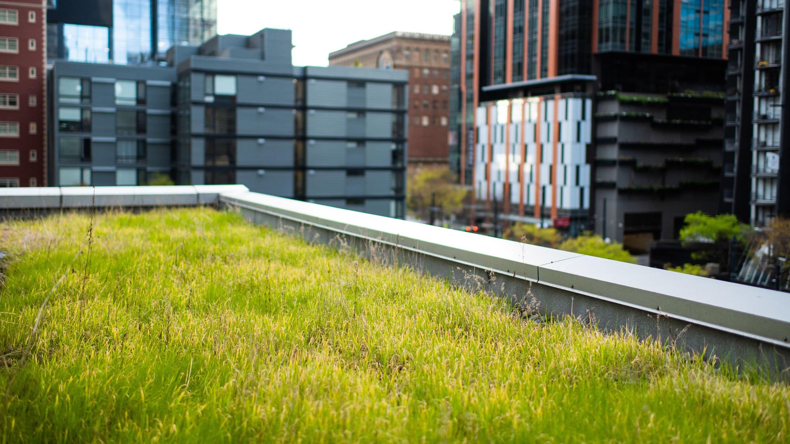 Hyatt at Olive 8 Green Roof Grass