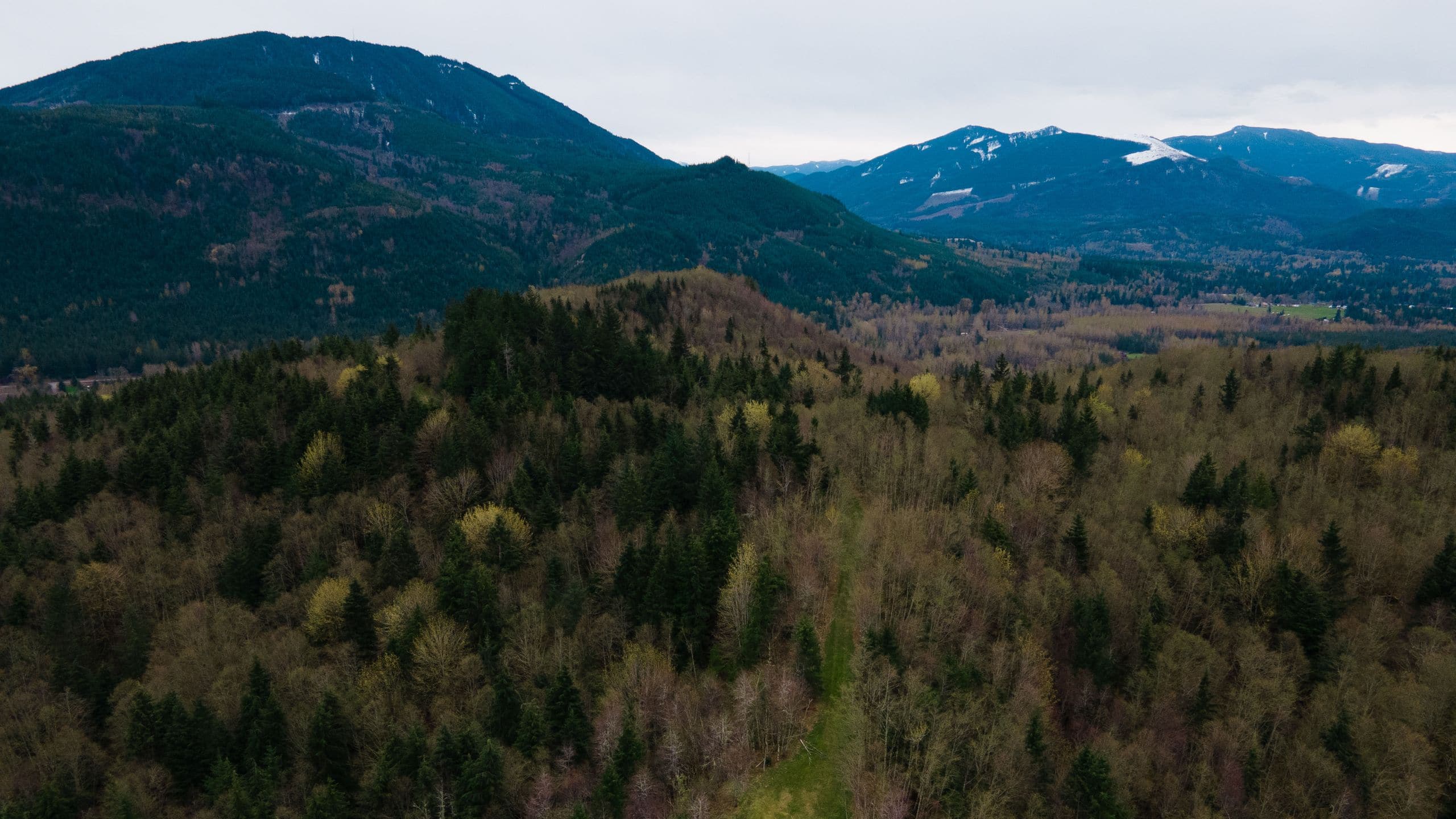 Hyatt at Olive 8 Sugarloaf Mountain