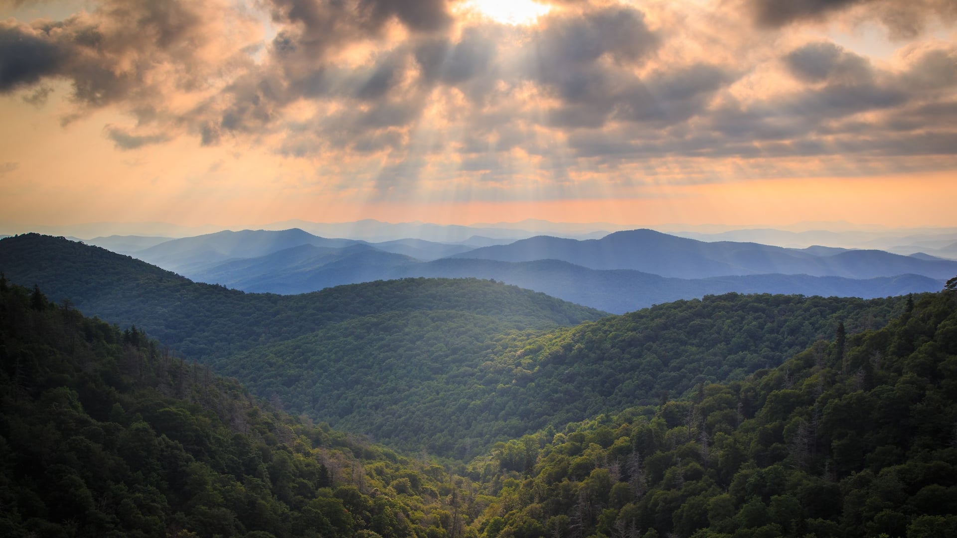 Photos + Reviews Hyatt Place Asheville Airport