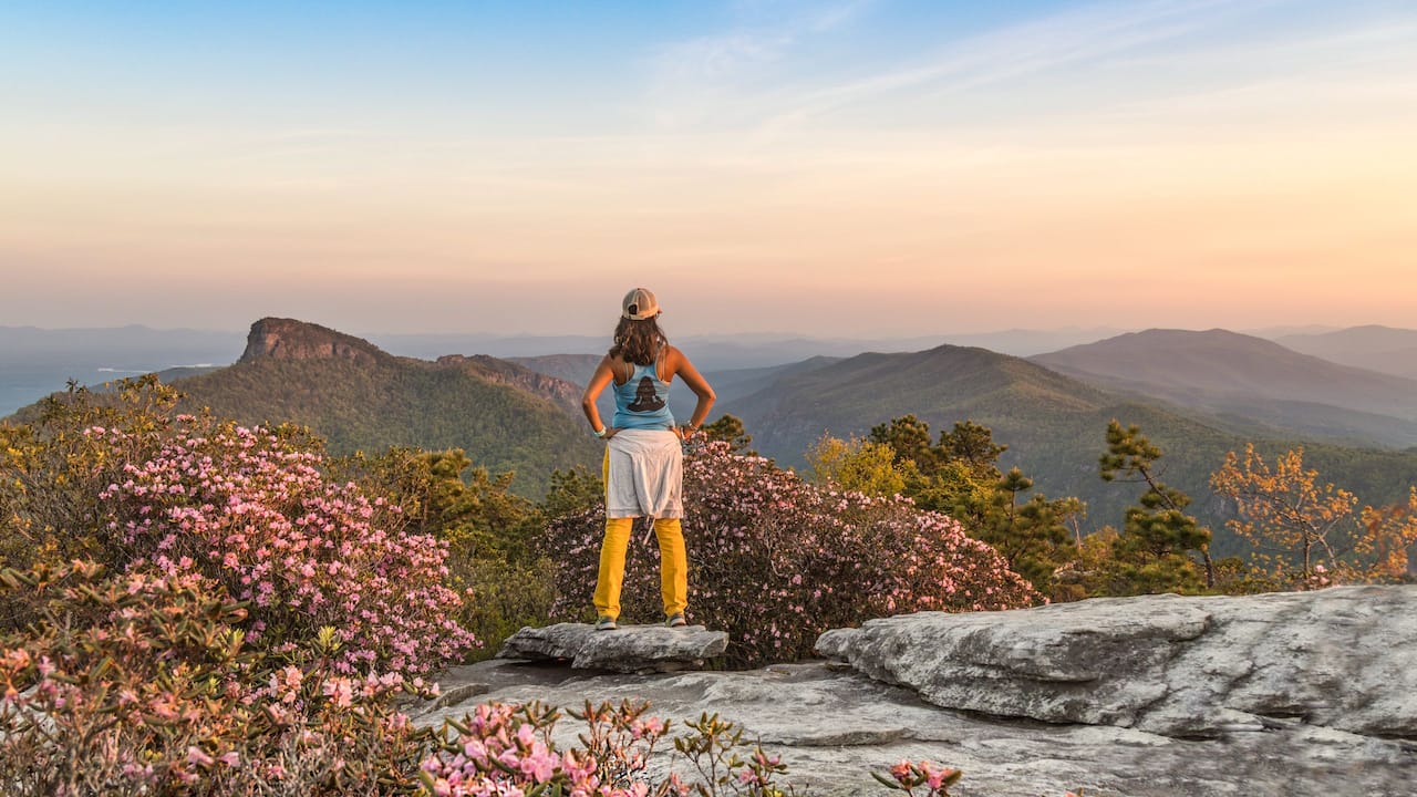 Things To Do in Arden, NC Hyatt Place Asheville Airport