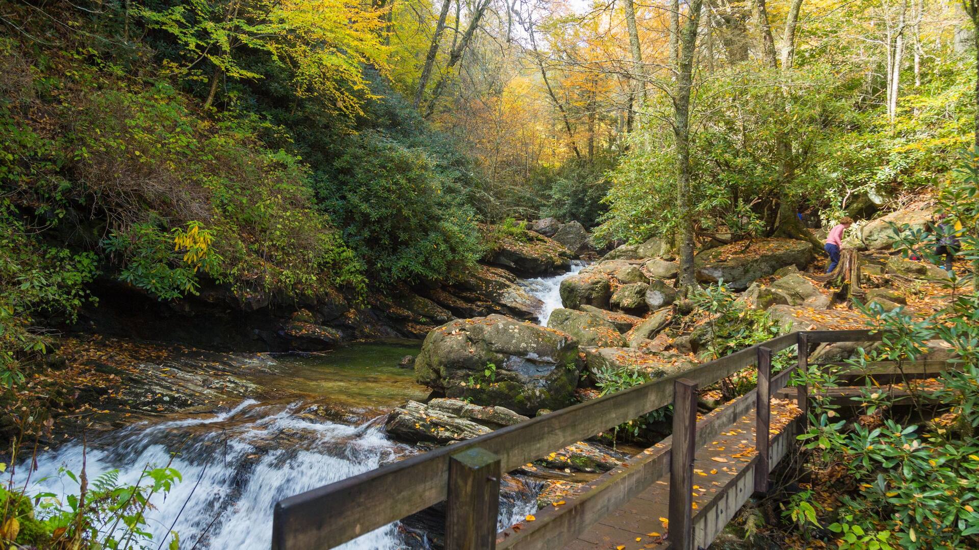 Hyatt Place Asheville Airport Hiking Trail Waterfall