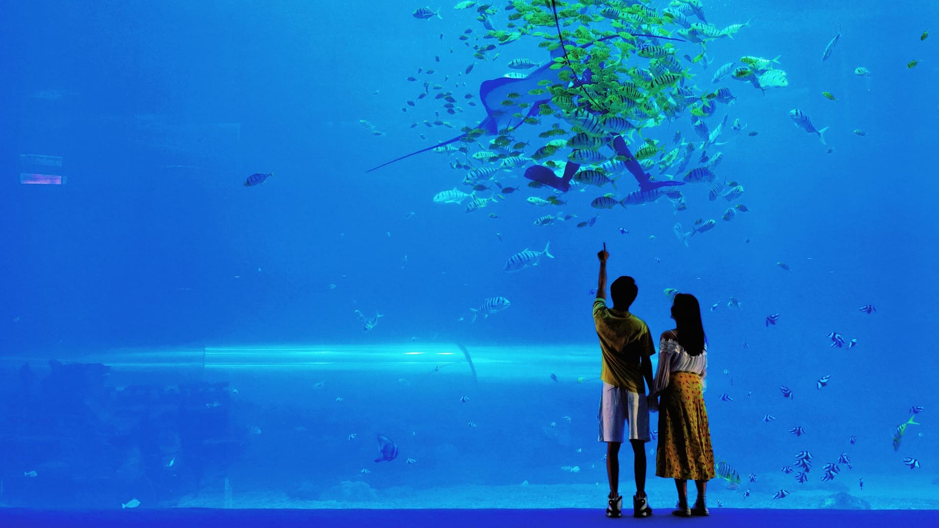 Hyatt Regency Hainan Ocean Paradise Resort Aquarium Couple