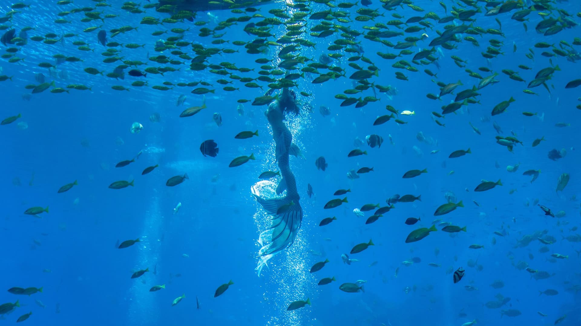 Hyatt Regency Hainan Ocean Paradise Resort Mermaid Show