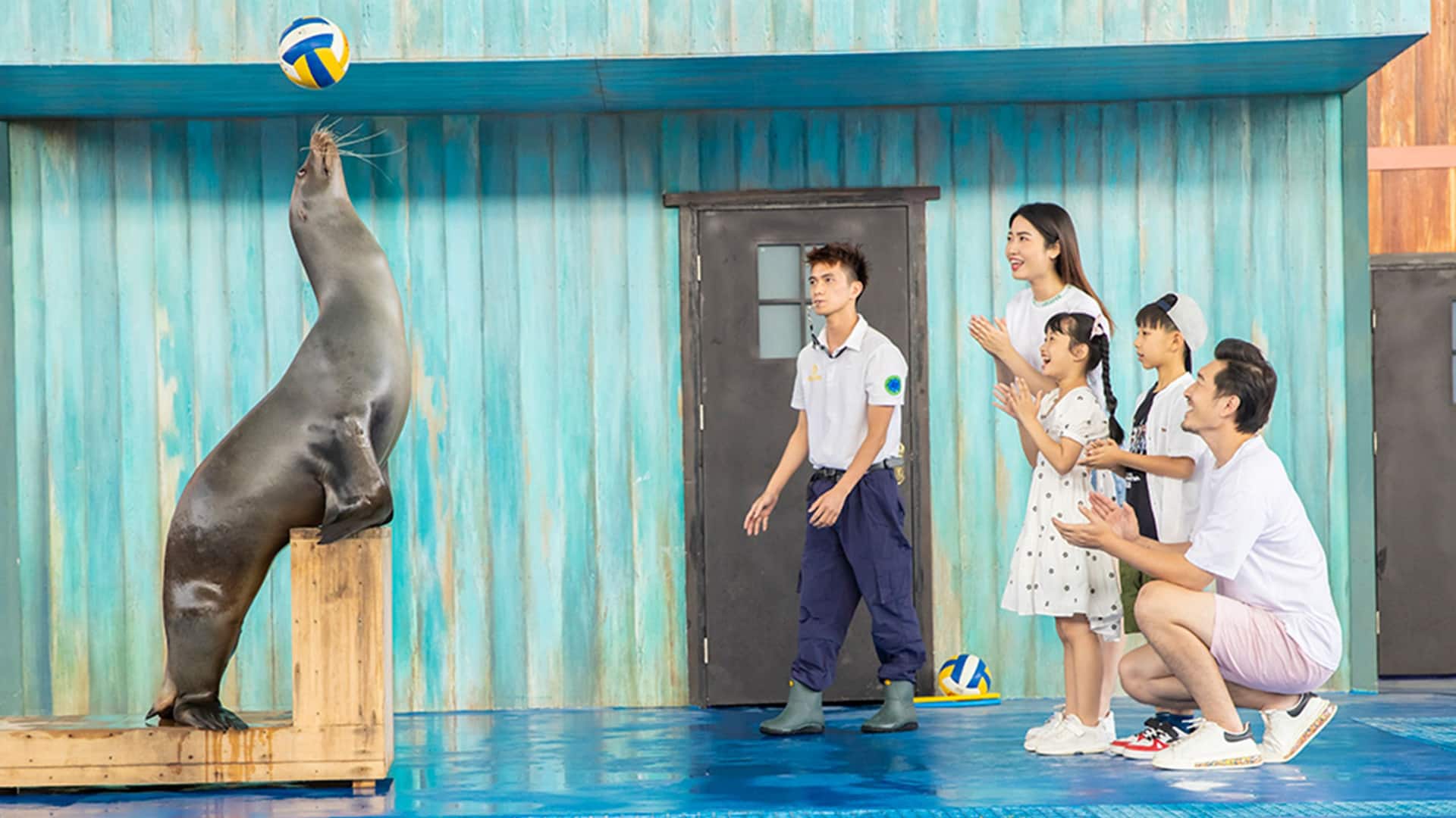 Hyatt Regency Hainan Ocean Paradise Resort Sea Lion Show
