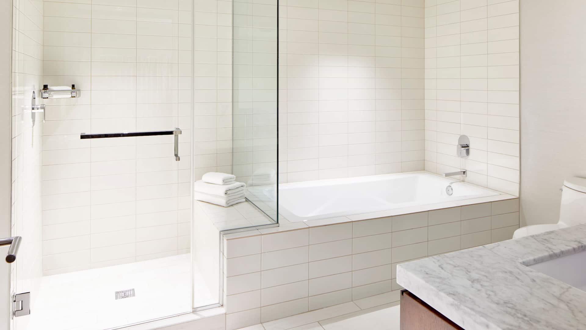 7 из 11 Hyatt Regency Atlanta Young Suite Bathroom