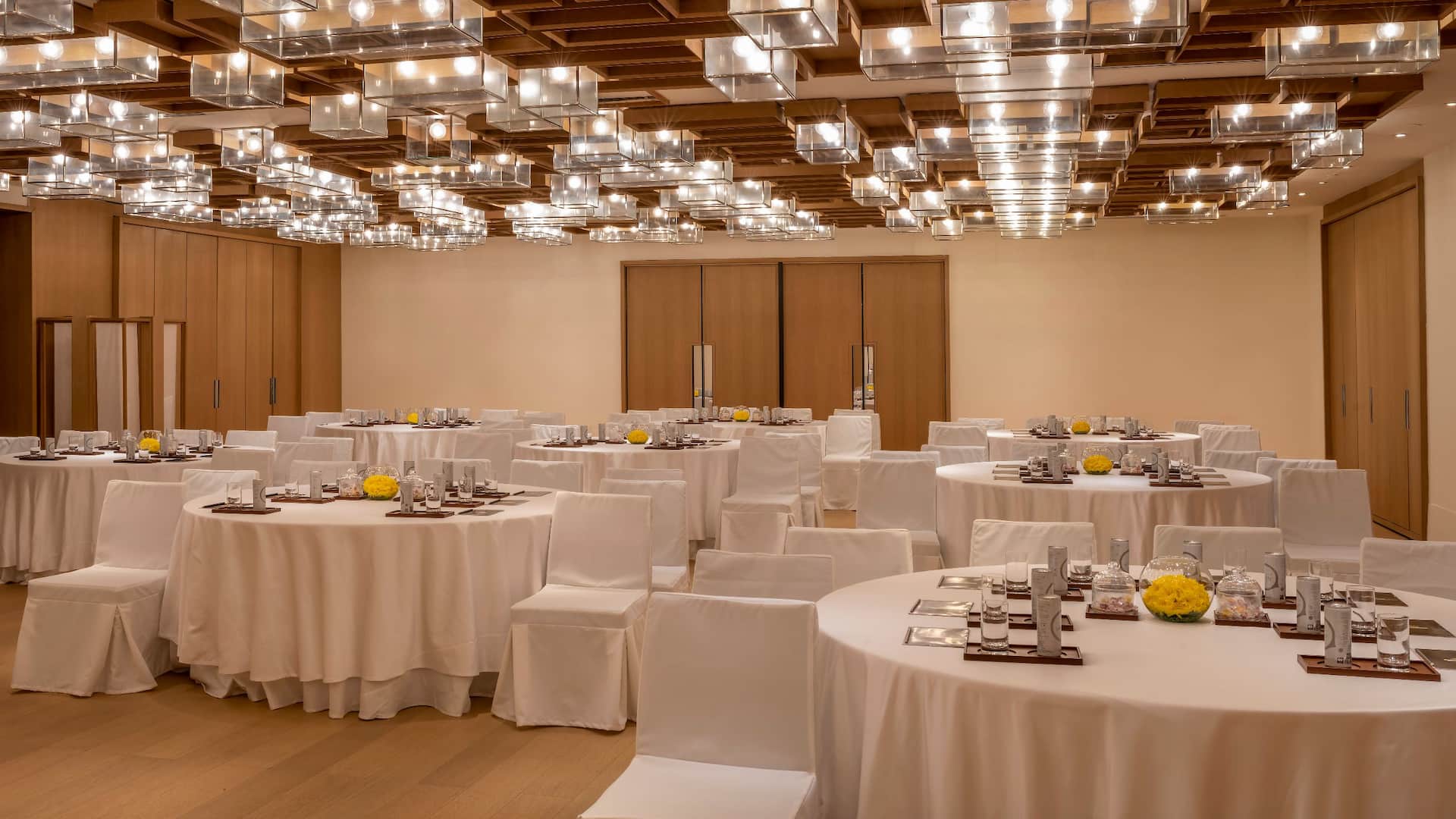 Grand Hyatt Gurgaon Lecture Hall Meeting Tables