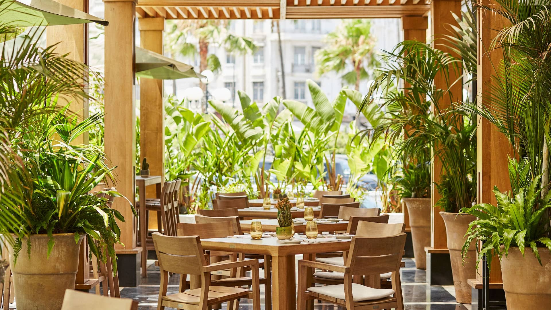 Restaurant tables and chairs on covered patio 