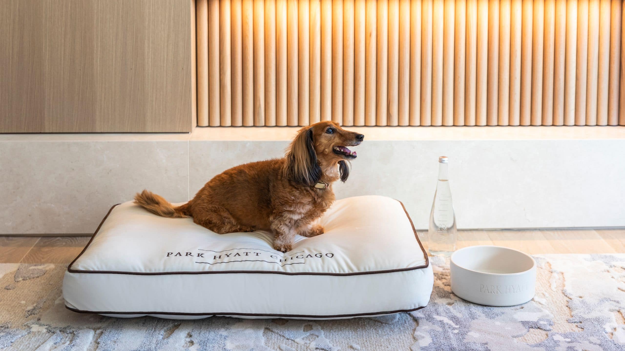 Park Hyatt Chicago Dog Bed