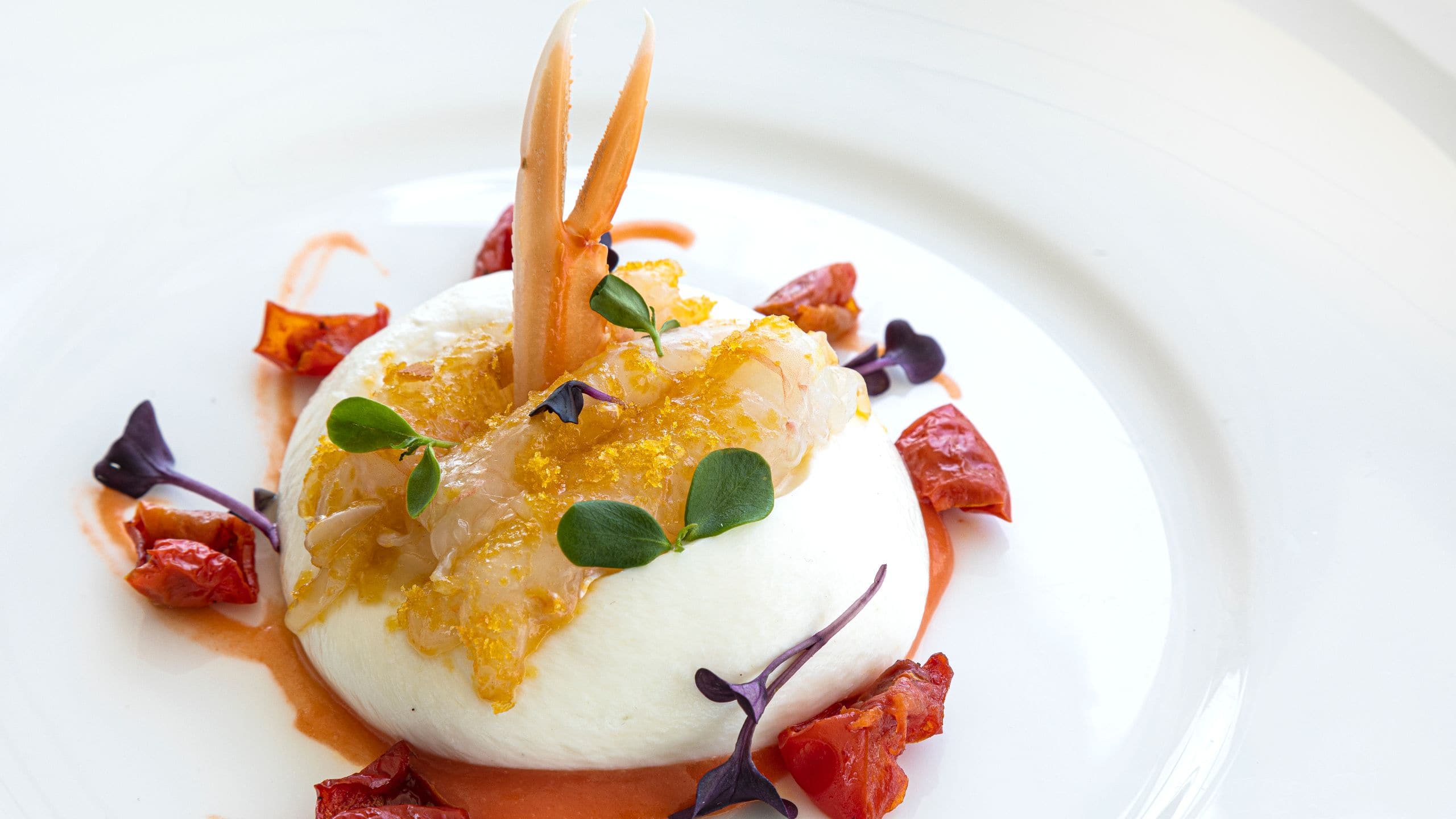 The Tribune Terrazza Borghese Buffalo Burrata With Scampi