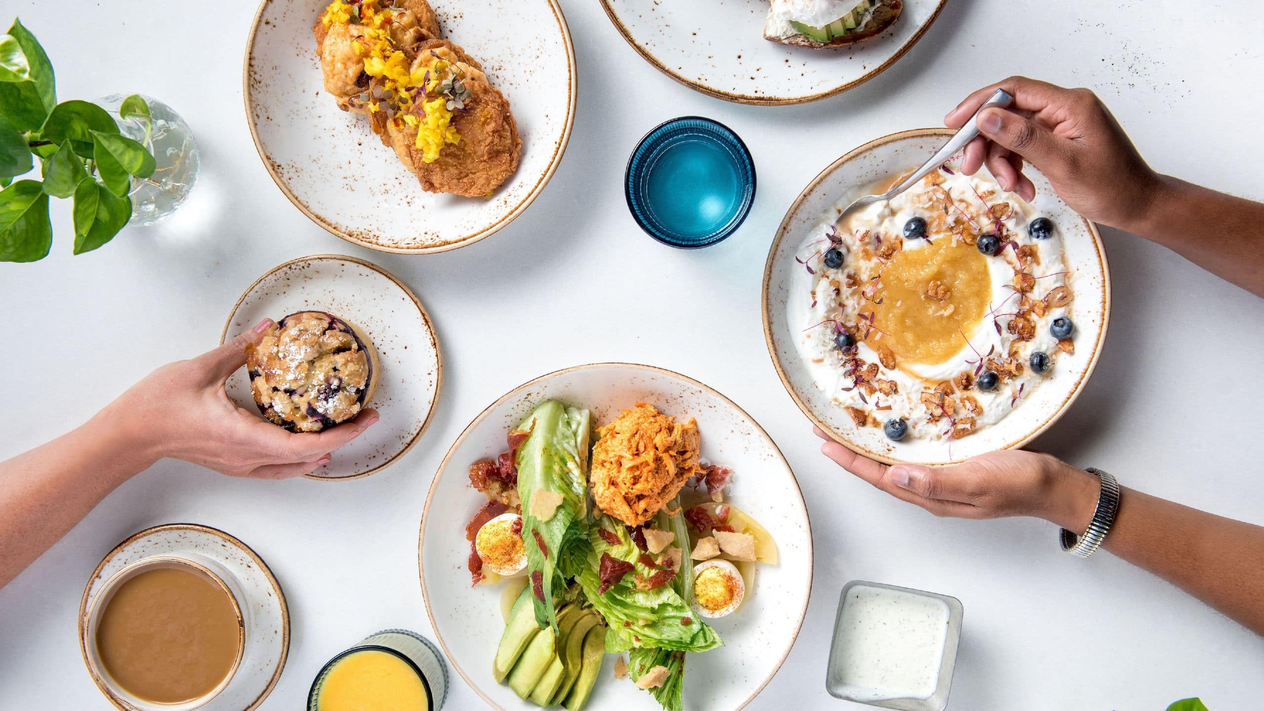 Holston House Nashville Tenn Menu Spread View