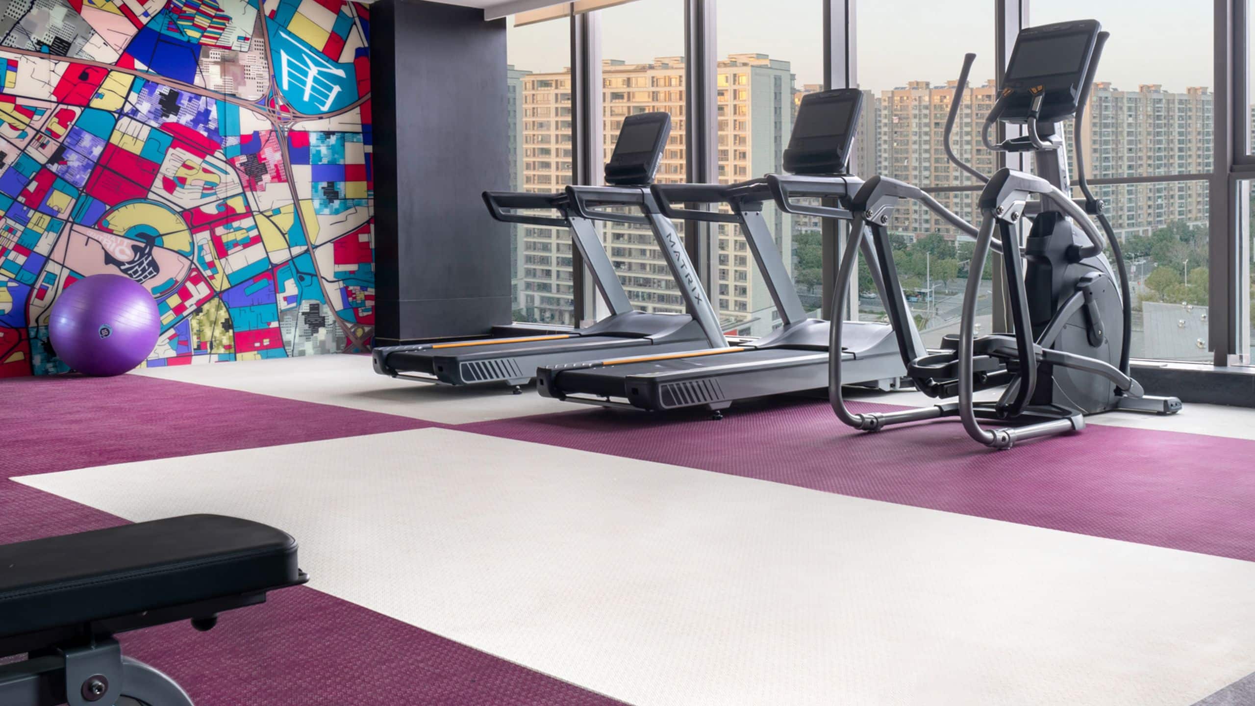 Hyatt Centric Lakeside Ningbo Gym