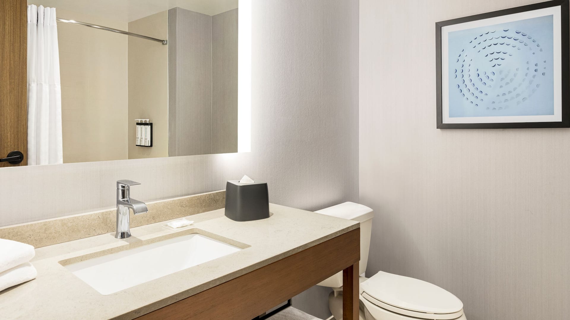 3/3 Hyatt Place Columbus / Polaris Standard Bathroom Bathtub