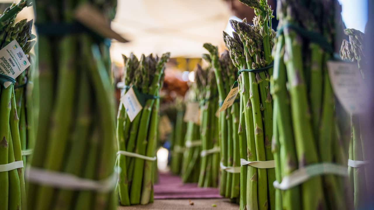 Sacramento Farmers Market asparagus