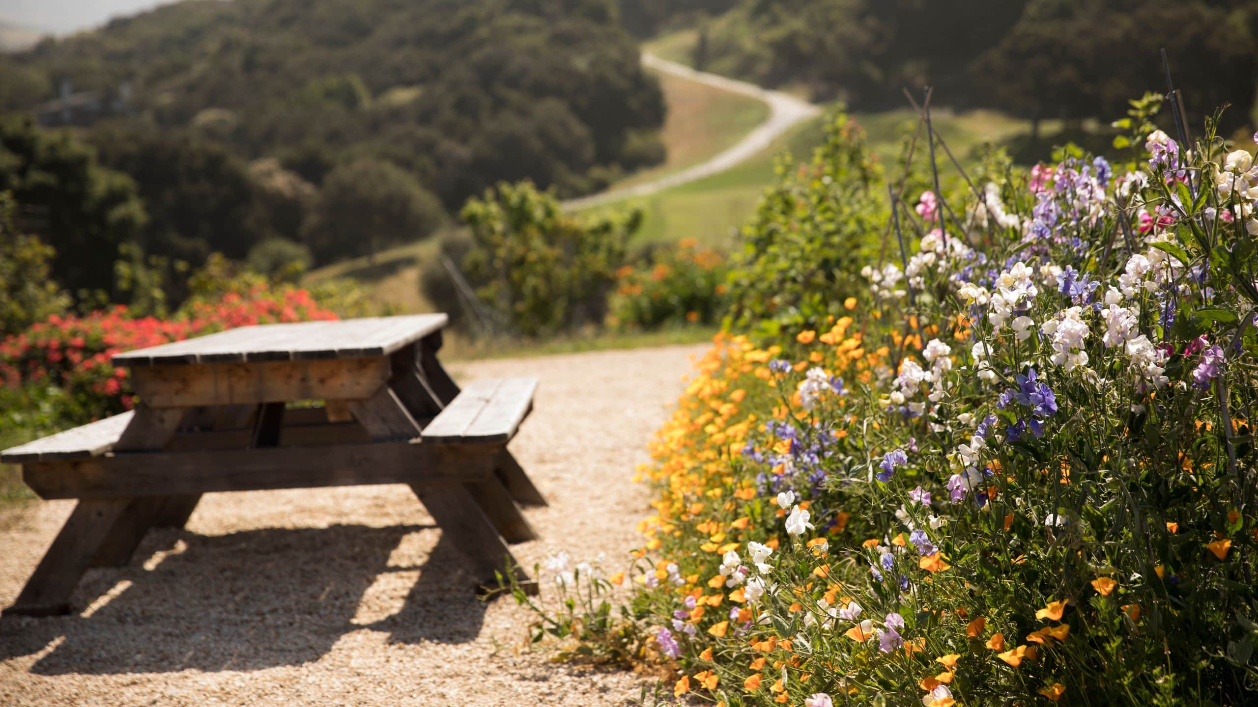 3 of 3 Carmel Valley Ranch Organic Garden Picnic Table