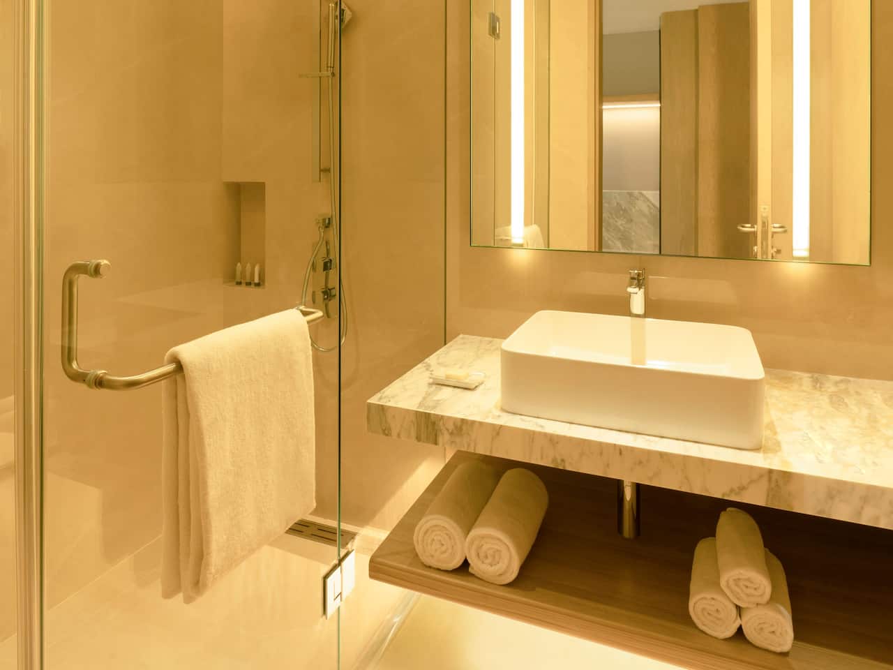 Hyatt Place Bharuch Bathroom