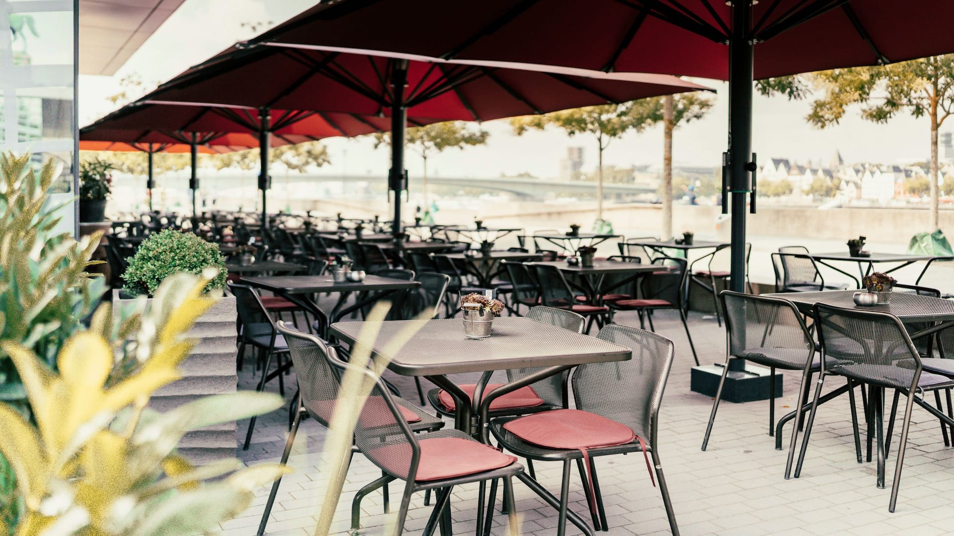 5 von 5 Hyatt Regency Cologne Sticky Fingers Terrace Entrance View