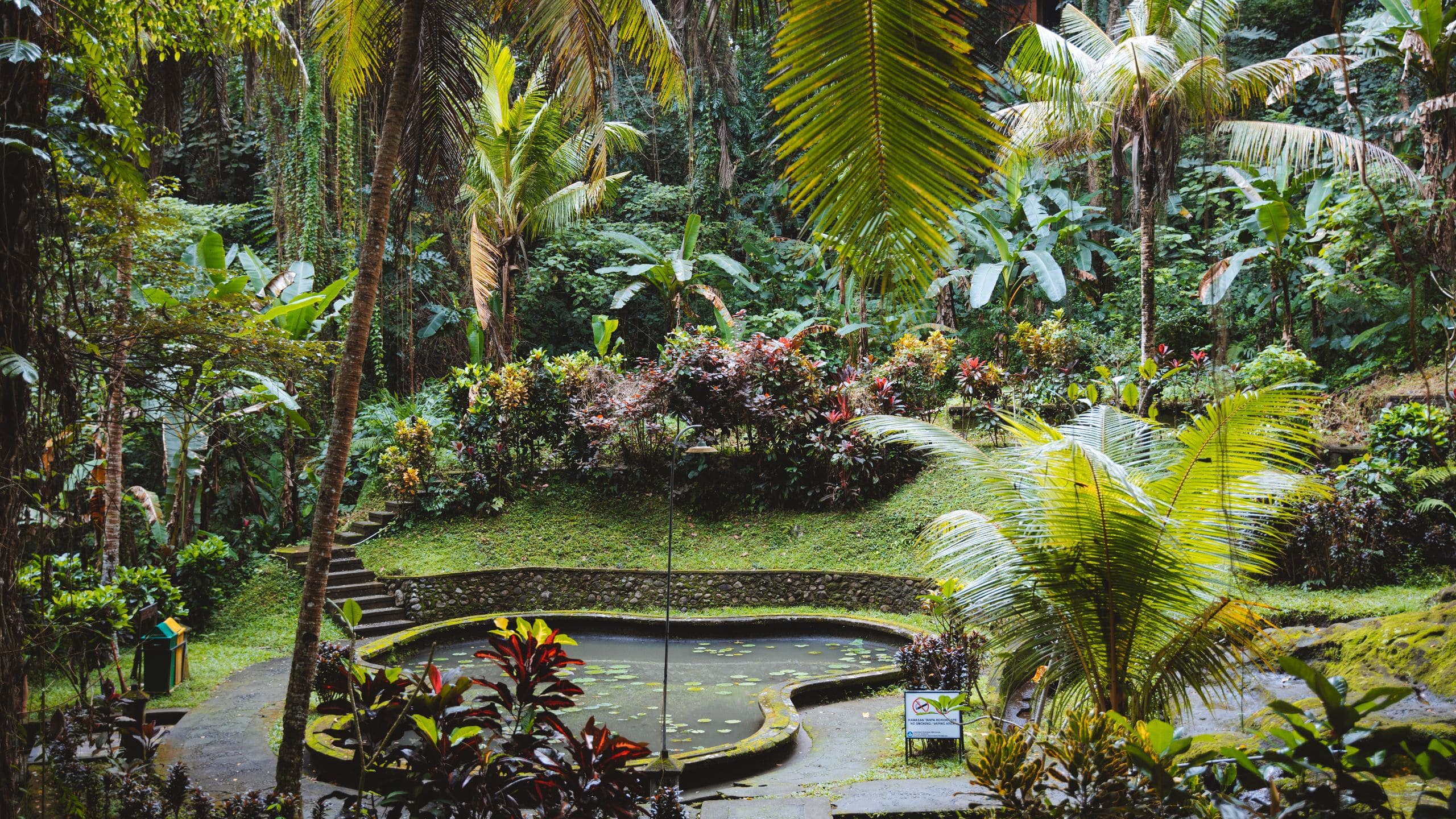 Alila Ubud Elephant Cave Pond
