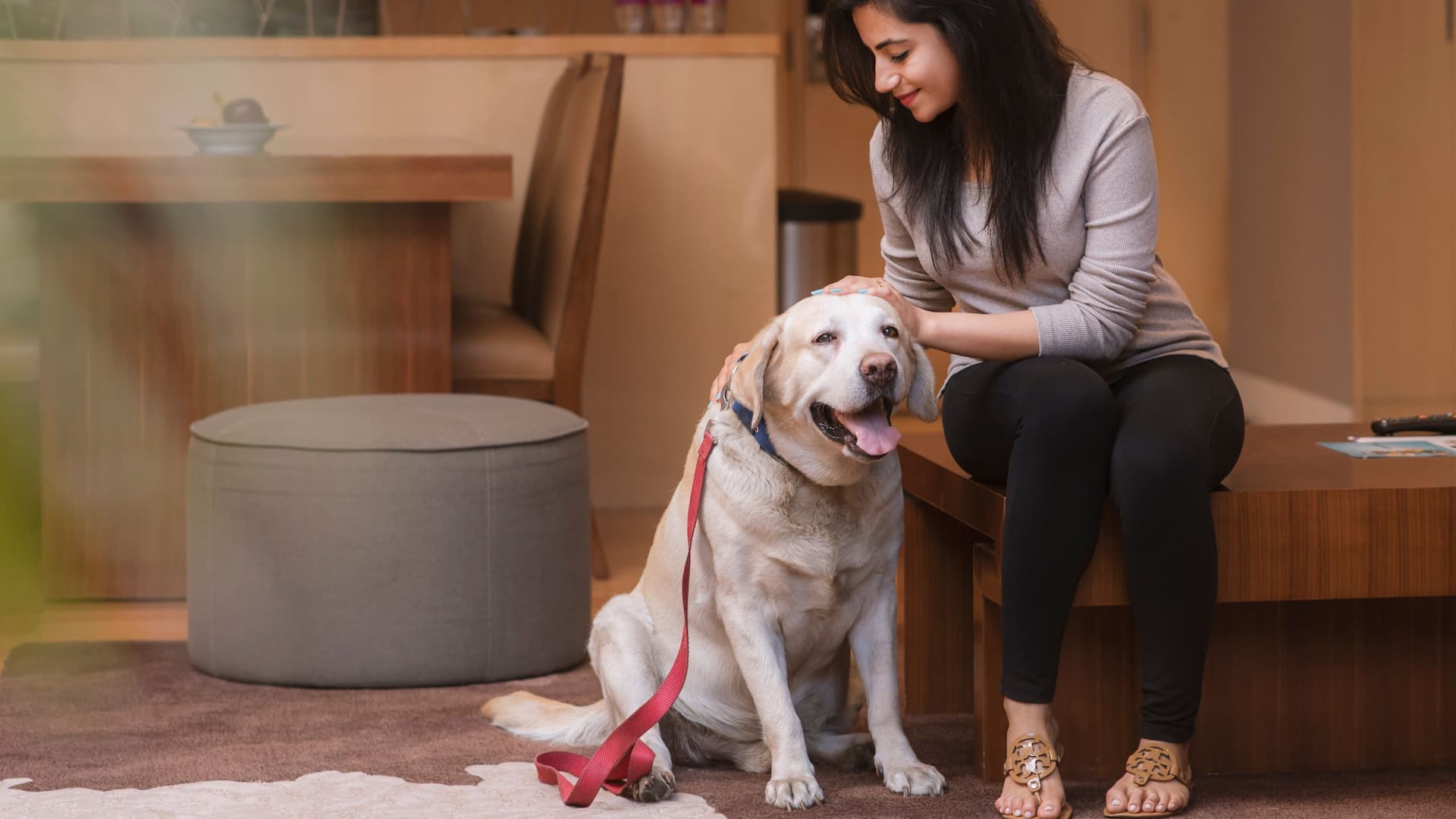 Hyatt Regency Pune & Residences Petcation
