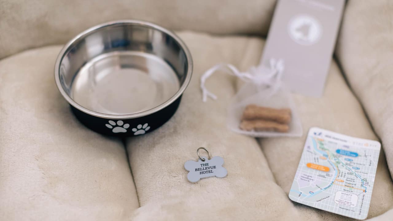 Pet Friendly Amenities