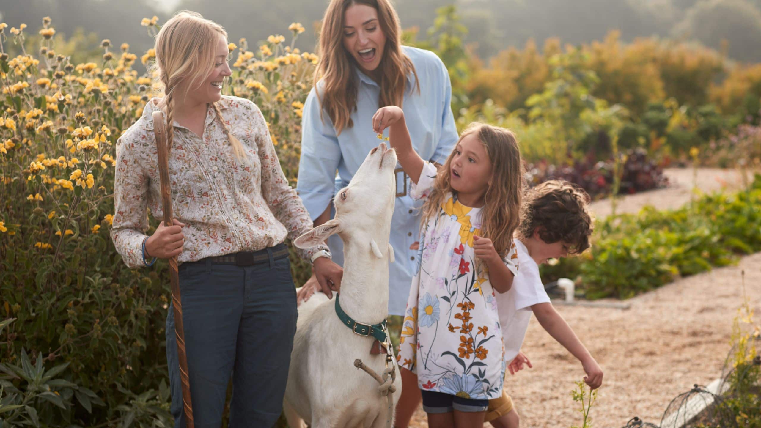 Carmel Valley Ranch Lifestyle Play Organic Garden Family Goat Feeding