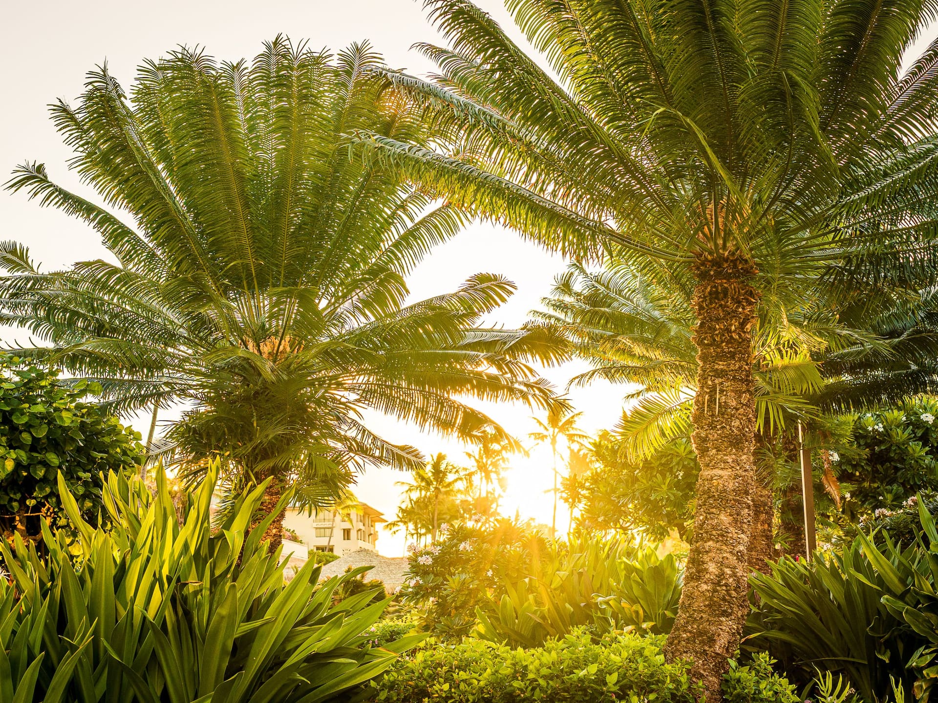 Grand Hyatt Kauai Resort & Spa Lush Gardens