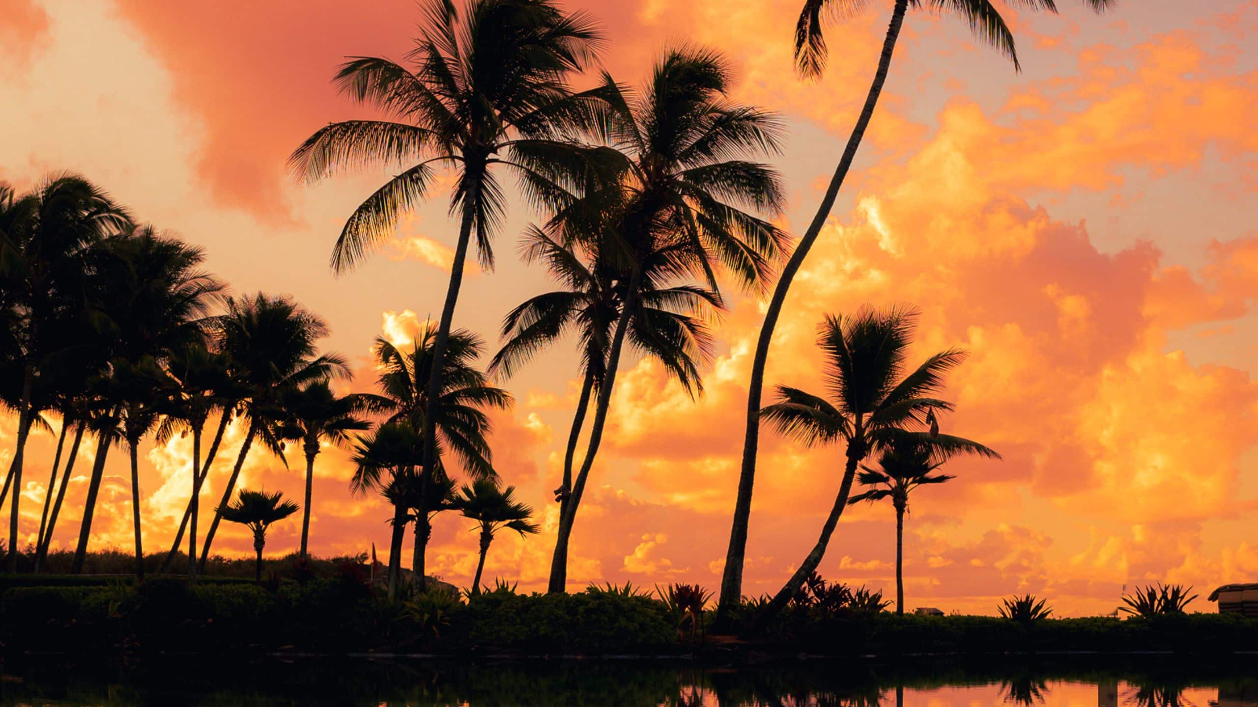 Grand Hyatt Kauai Resort & Spa Pink Sunset