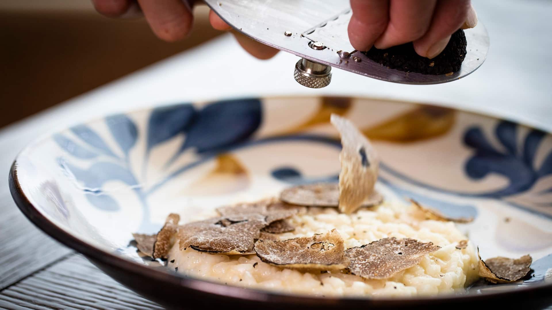 Olivio Truffle risotto
