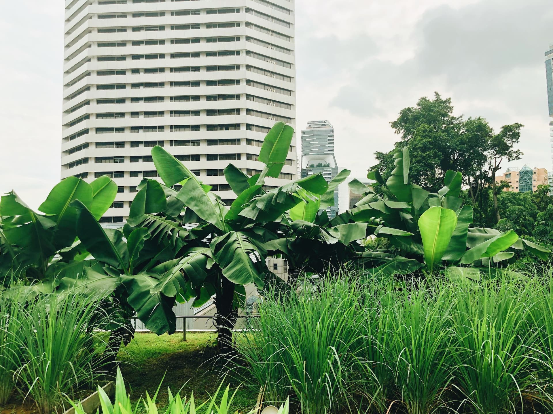 Grand Hyatt Singapore Rooftop Garden