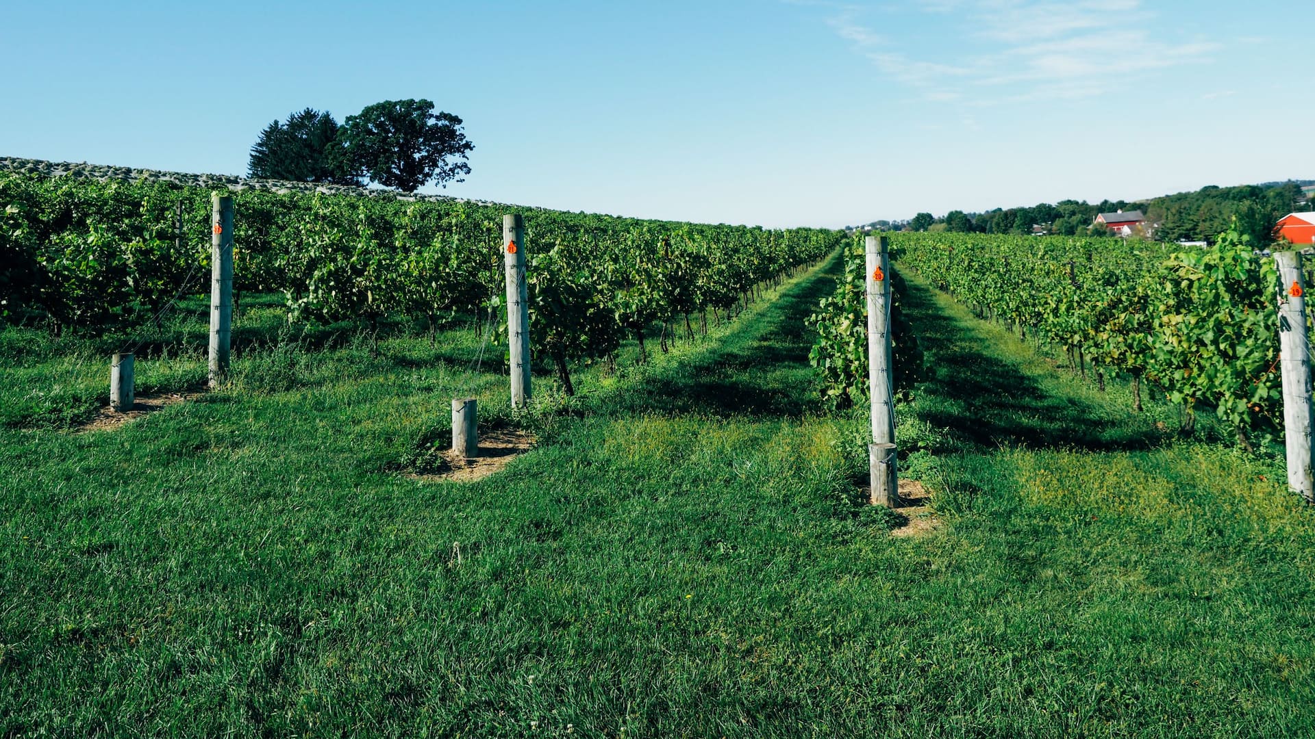 Hyatt House Allentown / Lehigh Valley Clover Hill Winery Vineyards