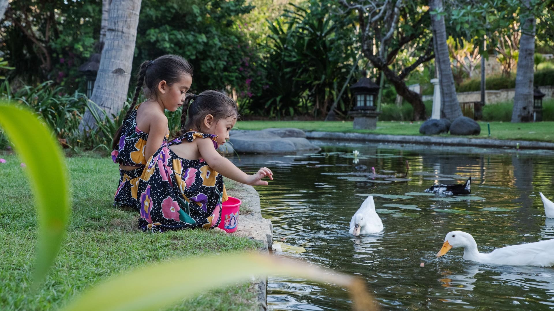 Hyatt Regency Bali Feeding Duck Camp Hyatt Bali