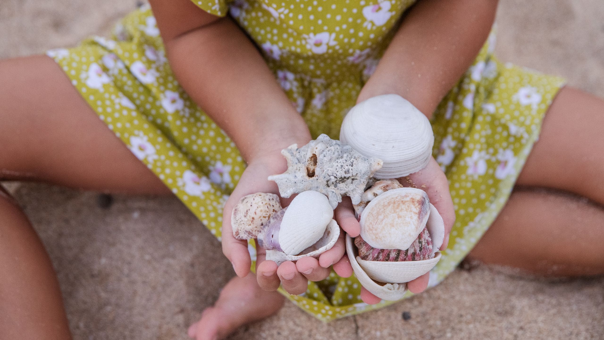 Hyatt Regency Bali Hunting Seashells Camp Hyatt