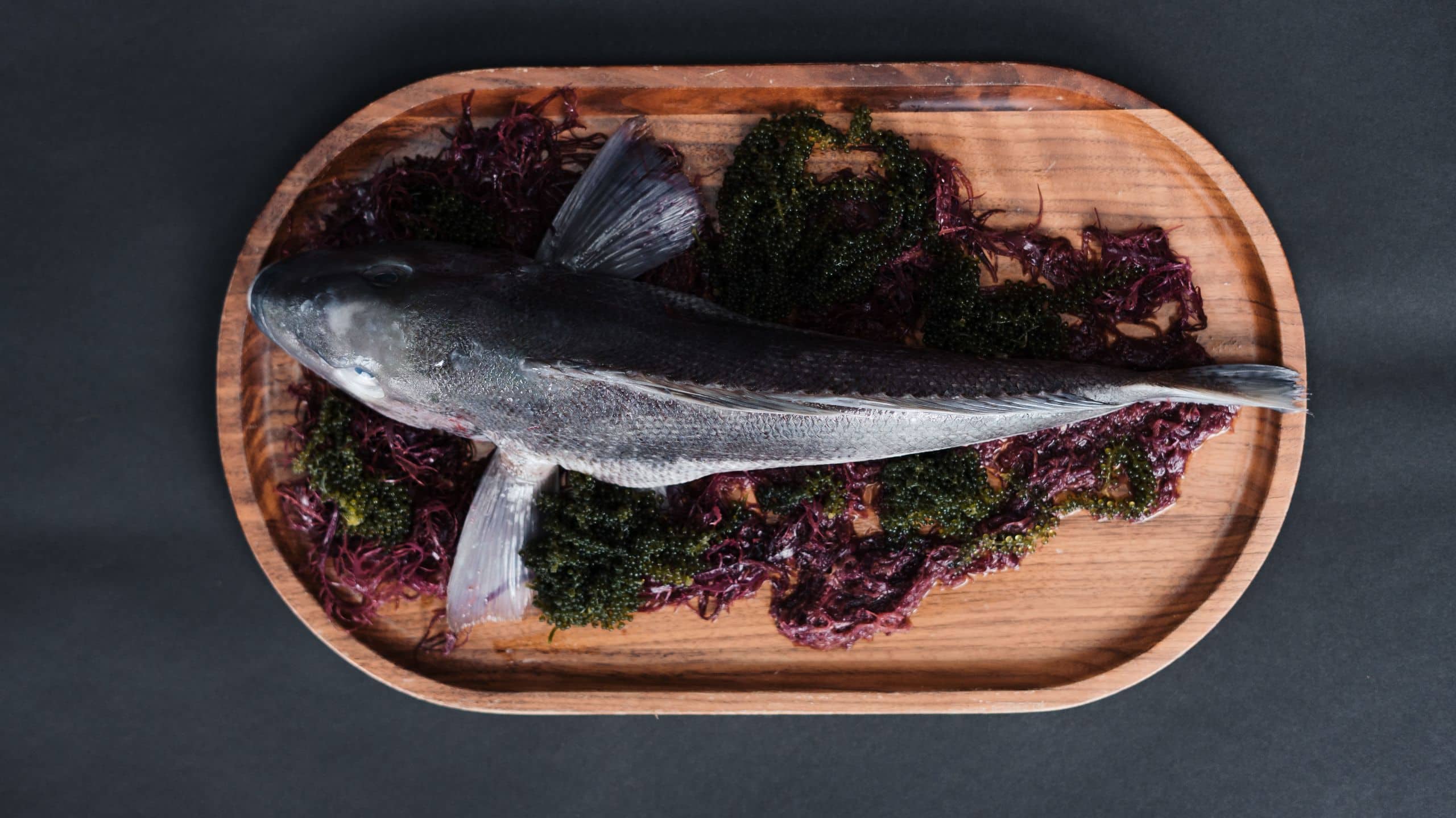 Park Hyatt Auckland Onemata Bluecod